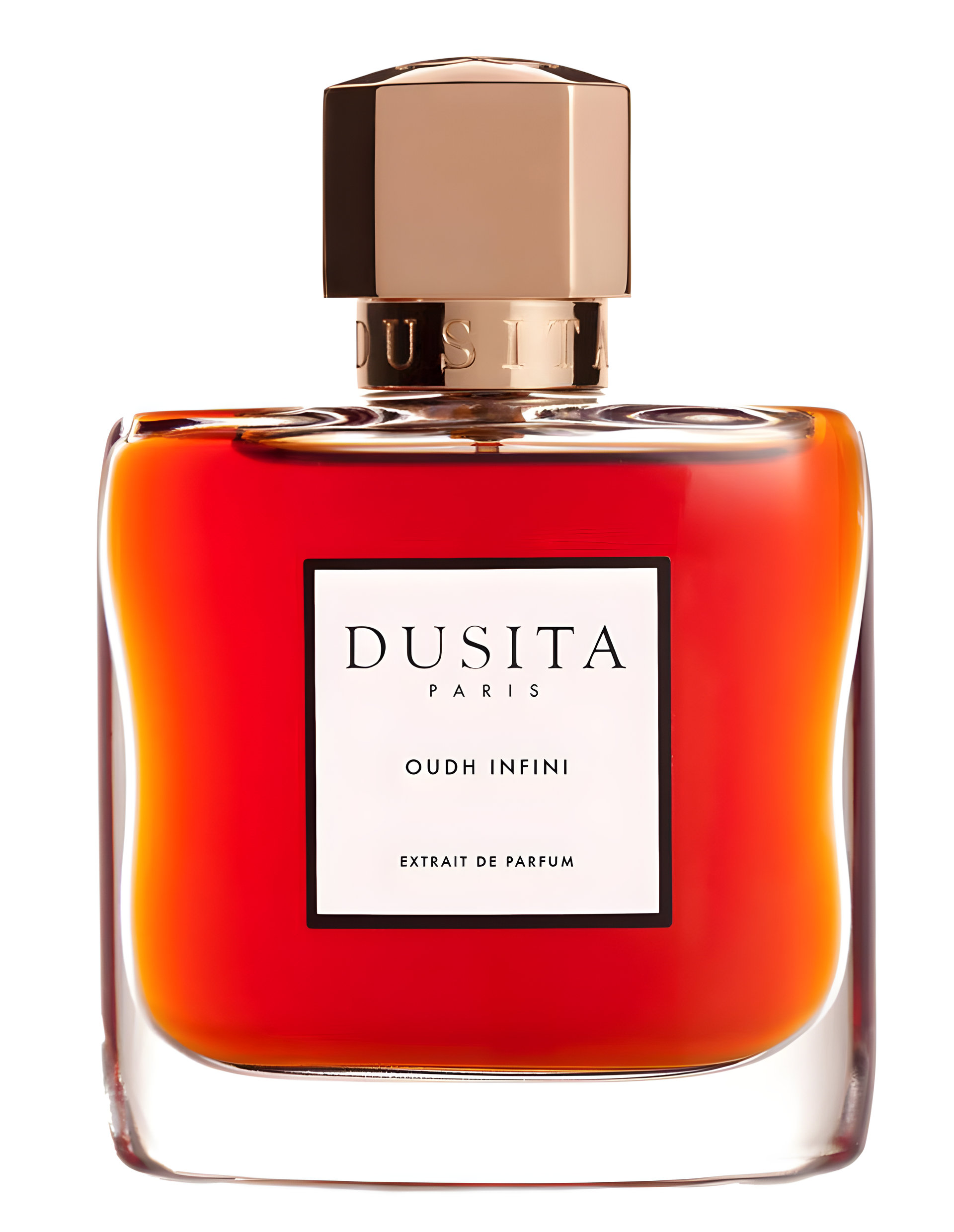 Picture of Oudh Infini fragrance