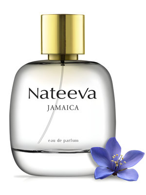 Jamaica by Nateeva perfume bottle