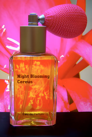 Night Blooming Cereus by Paragon Perfumes perfume bottle