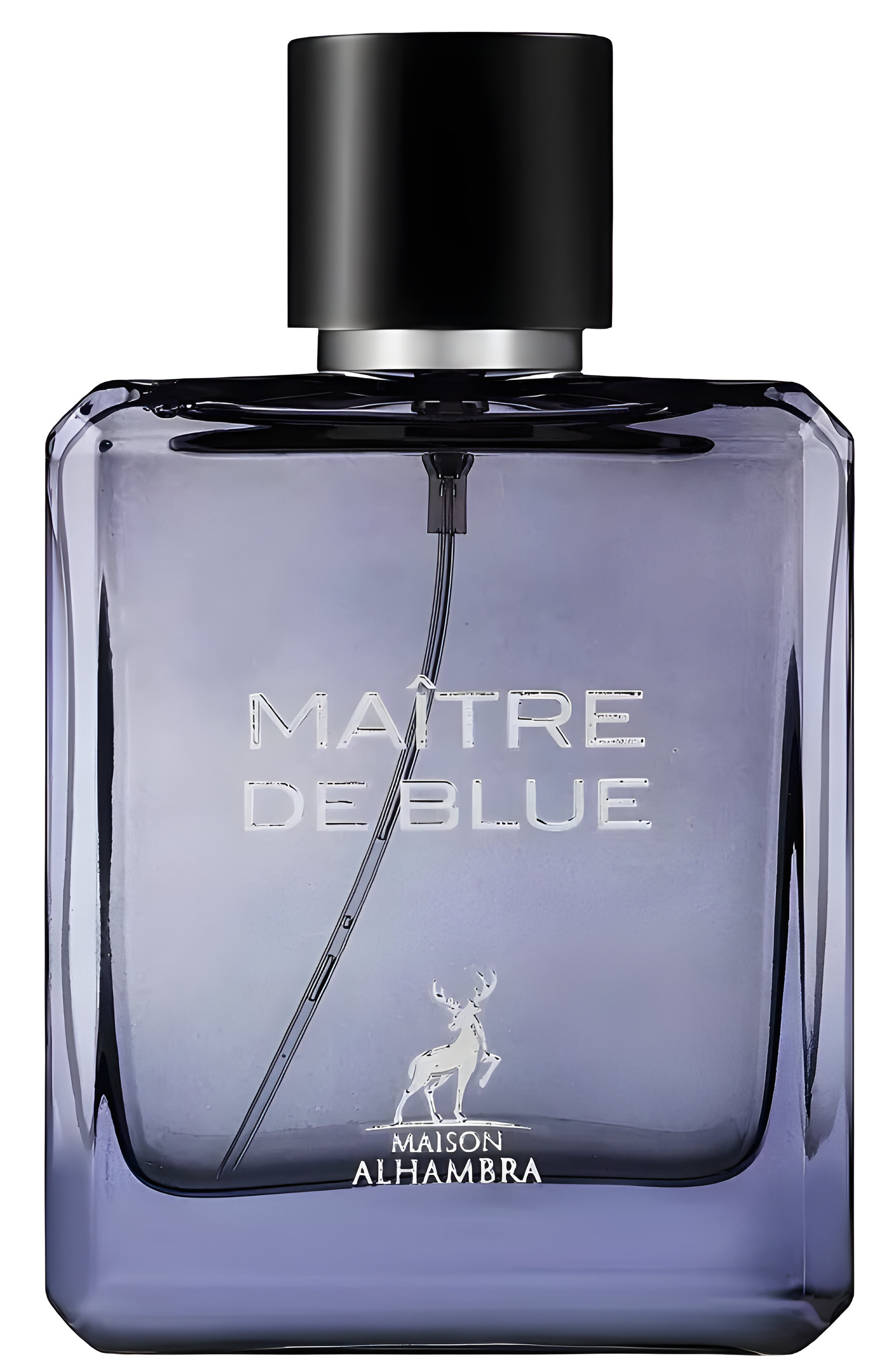 Picture of Maître de Blue fragrance