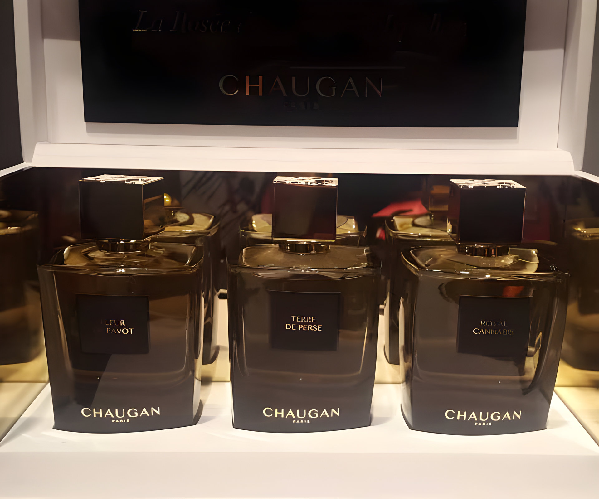 Picture of Terre de Perse fragrance