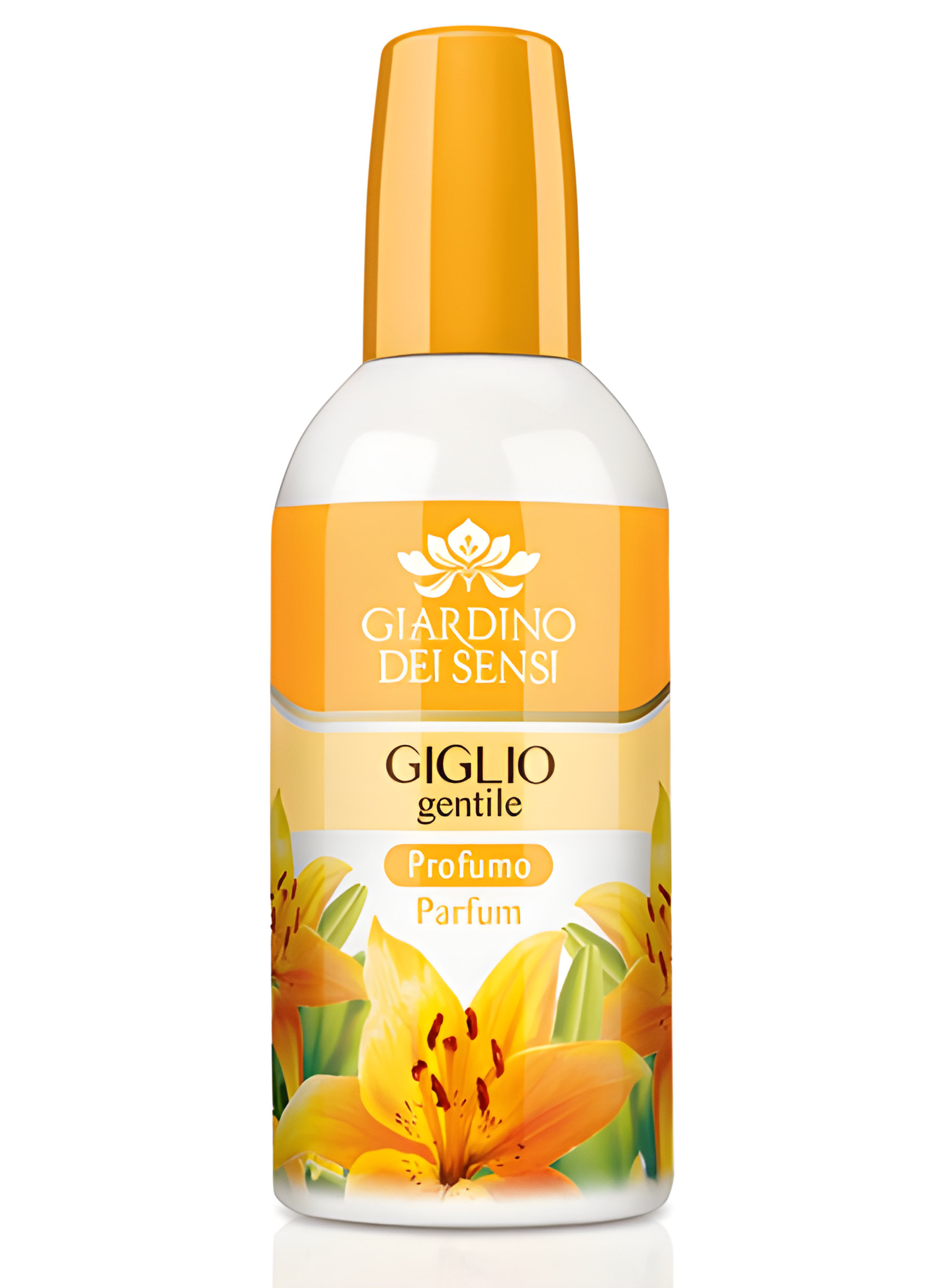 Picture of Giglio Gentile fragrance