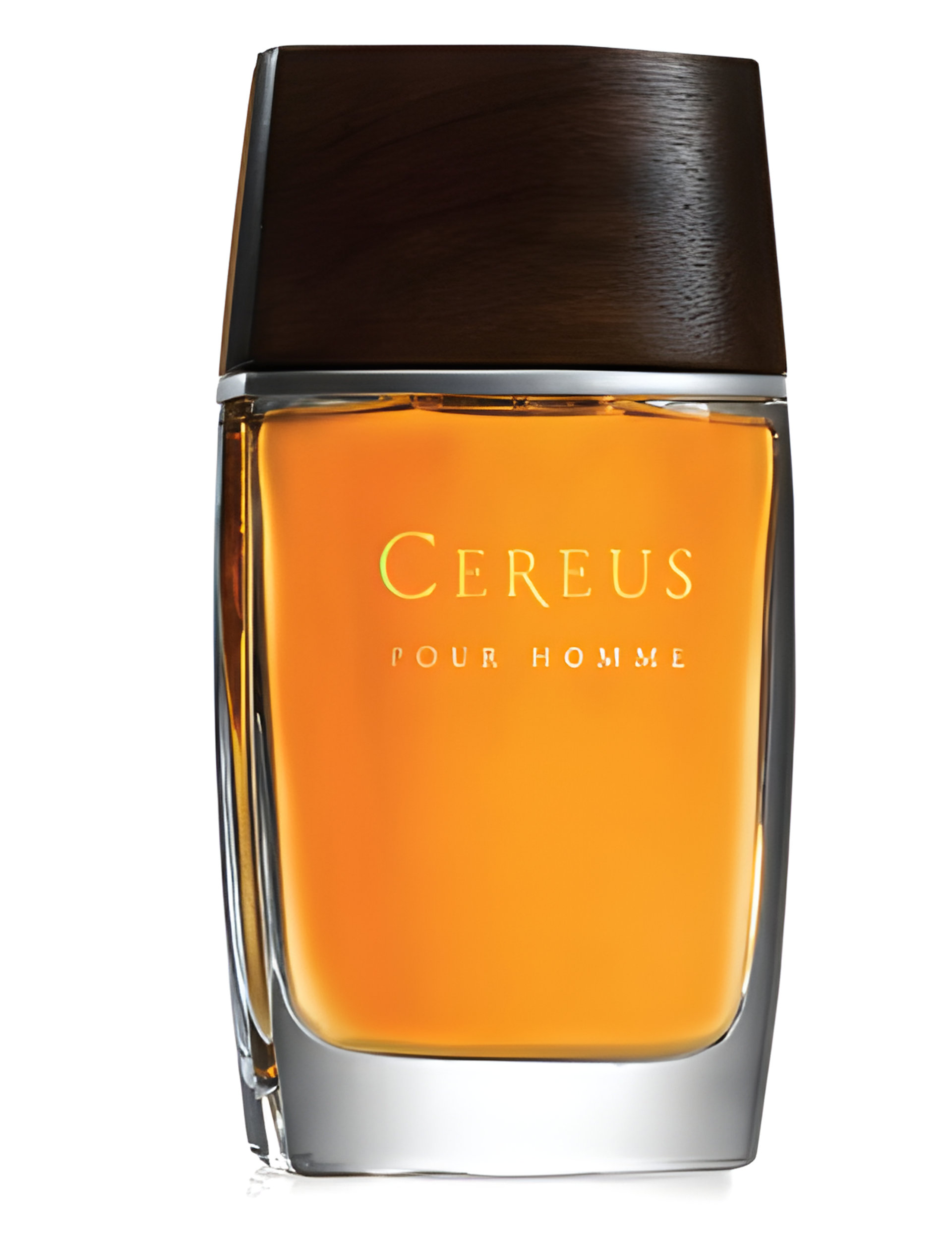 Picture of Cereus No. 14 fragrance