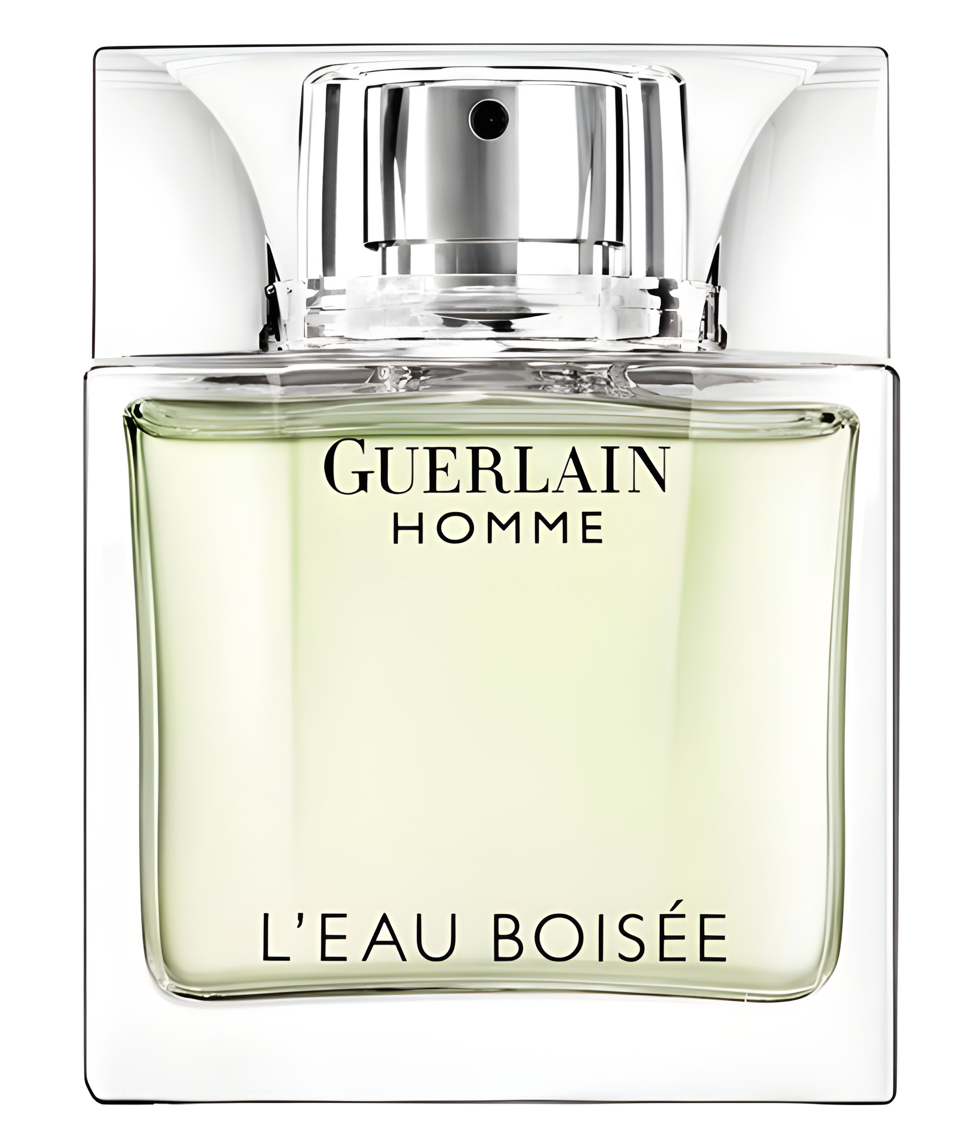 Picture of Guerlain Homme L'Eau Boisée fragrance