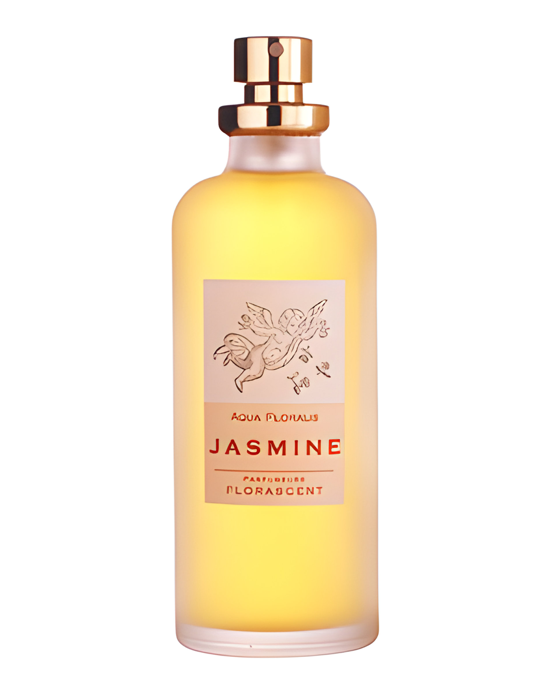 Picture of Jasmine fragrance
