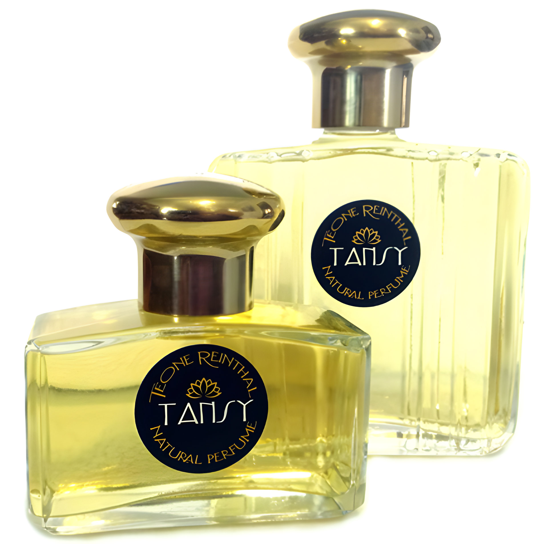 Picture of Tansy fragrance
