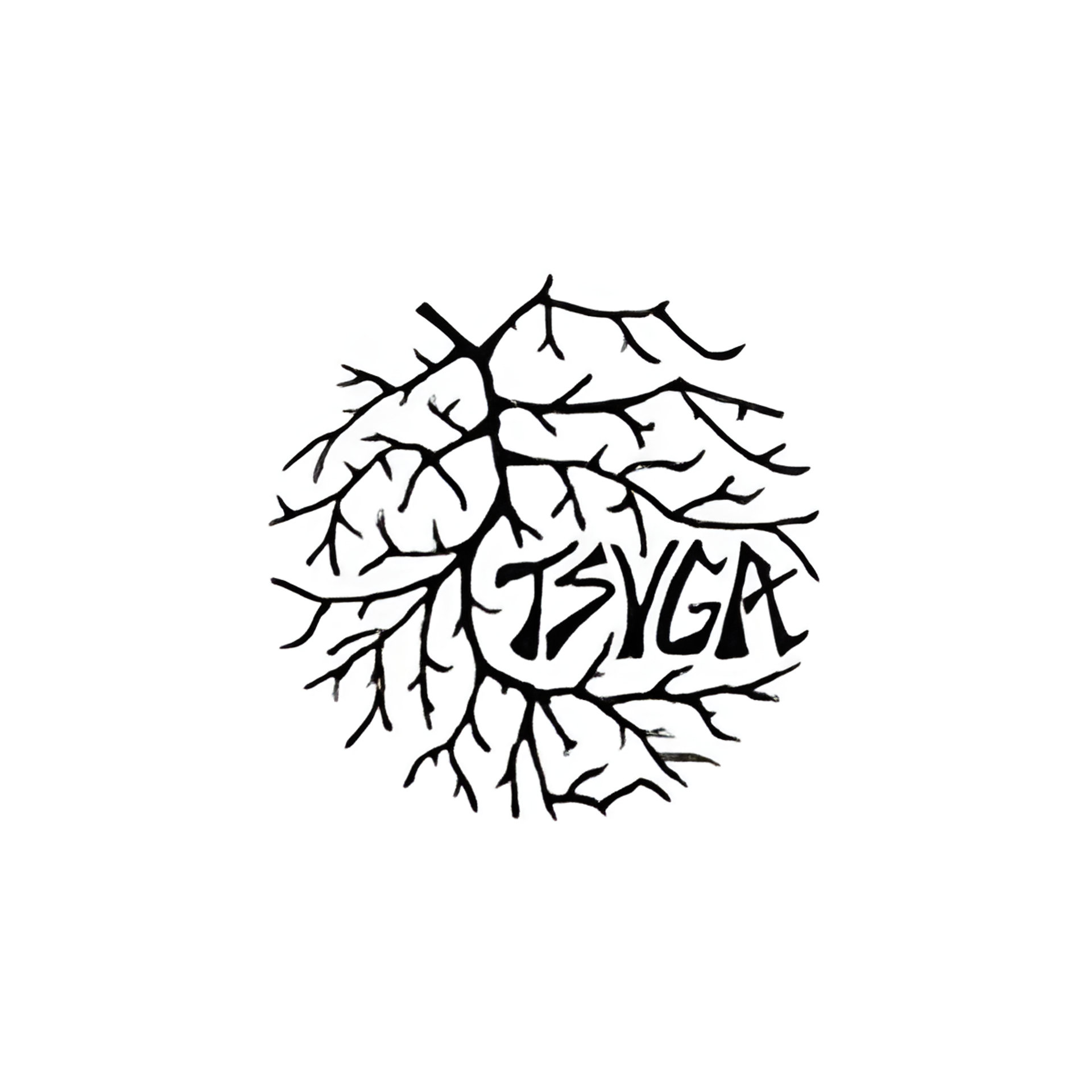 Picture of TSVGA Parfums brand