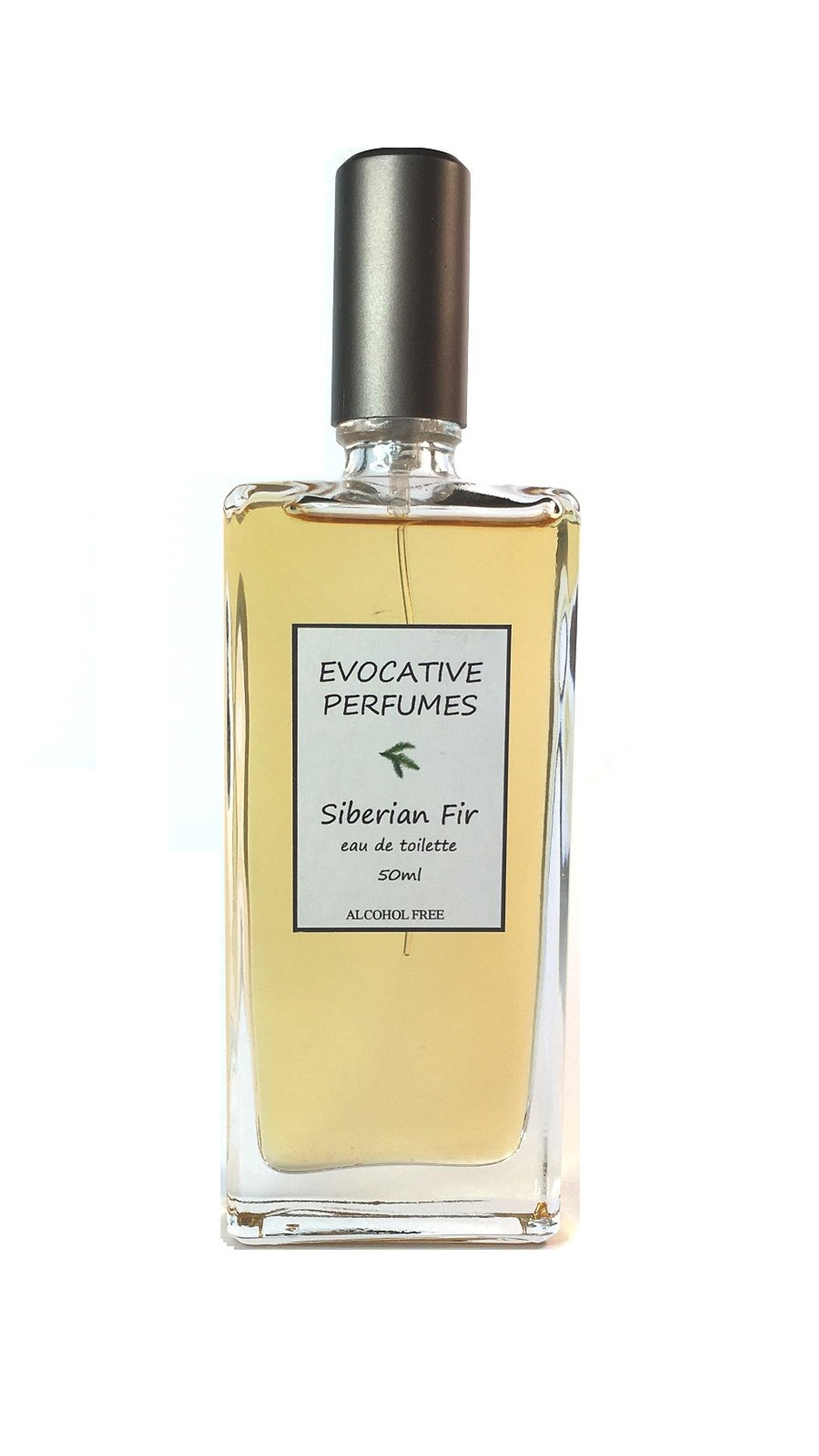 Picture of Siberian Fir fragrance