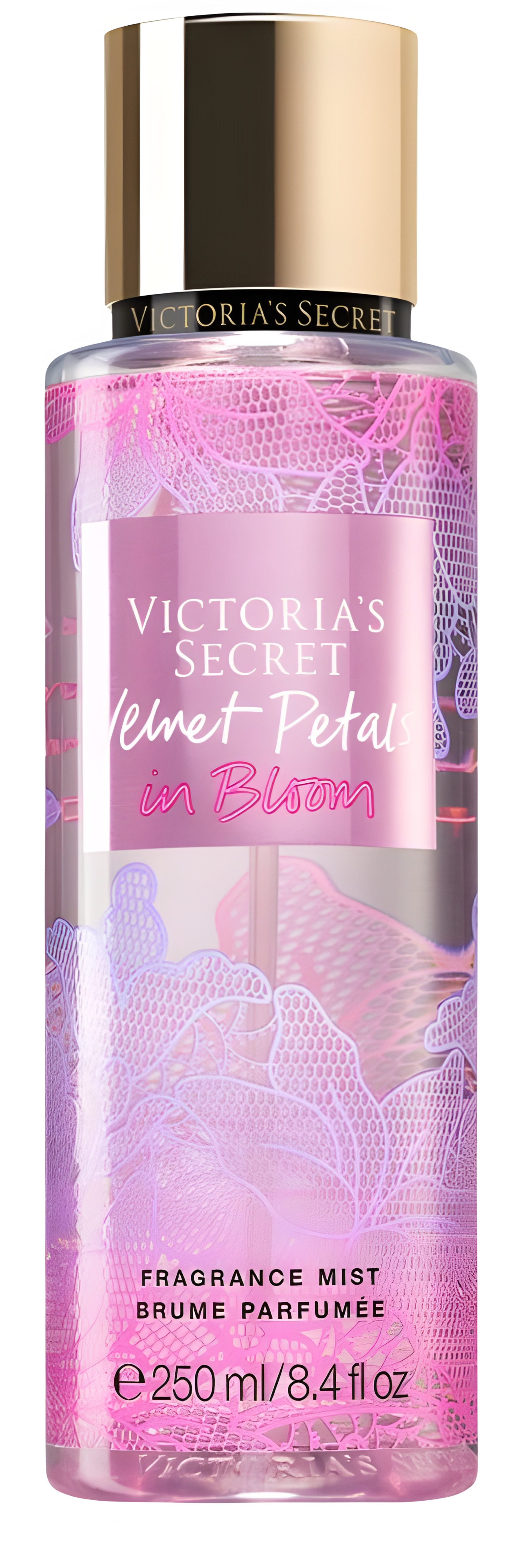 Velvet Petals in Bloom by Victoria's Secret