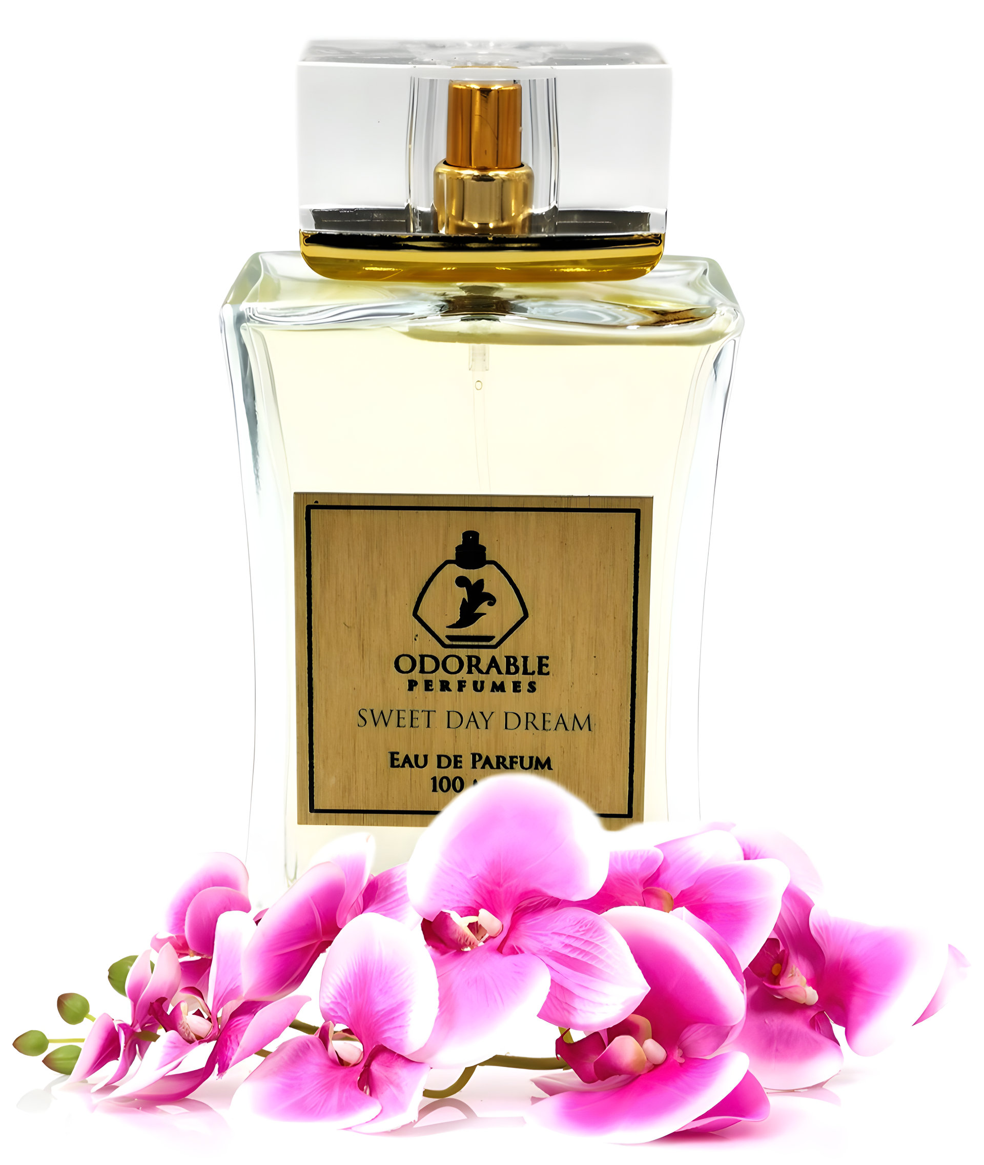 Picture of Sweet Day Dream fragrance