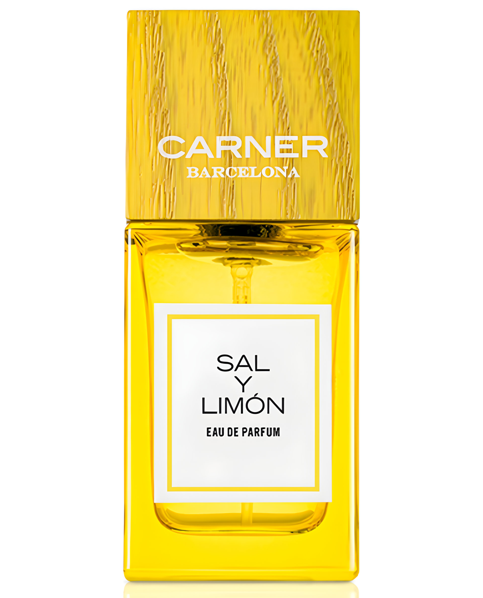 Picture of Sal Y Limon fragrance