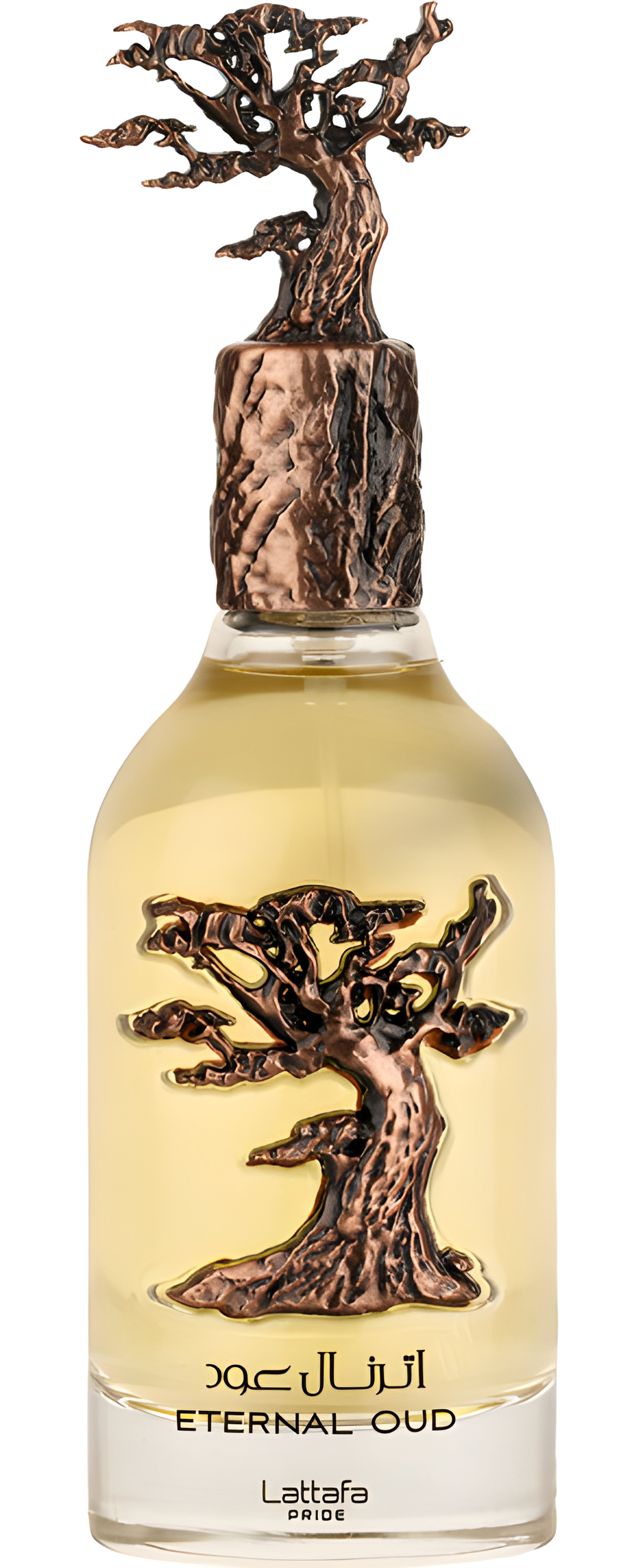 Picture of Eternal Oud fragrance