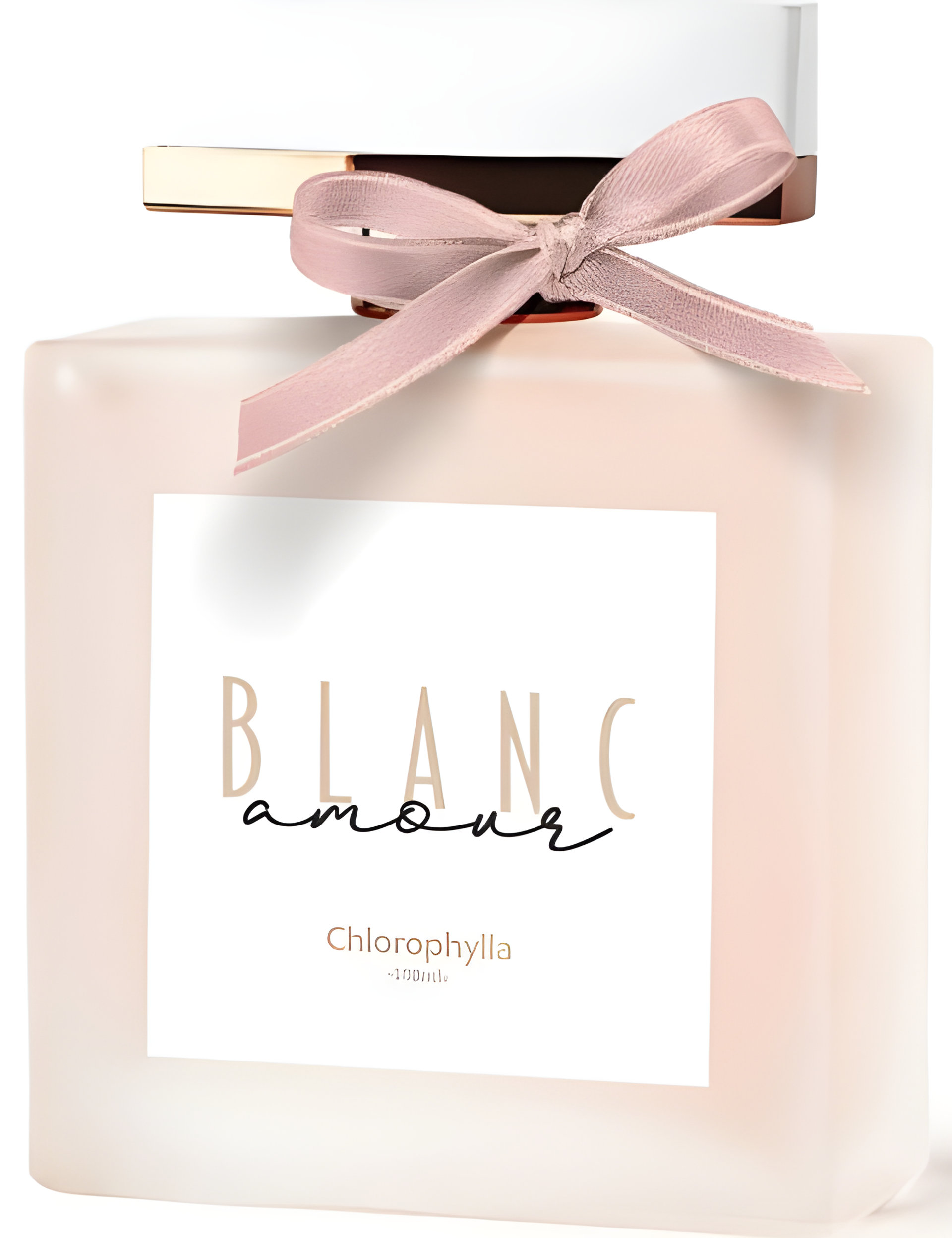 Picture of Blanc Amour fragrance