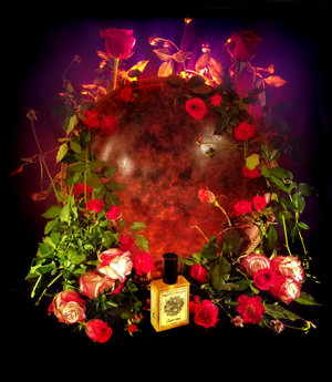 Orient Rose by Solstice Scents perfume bottle