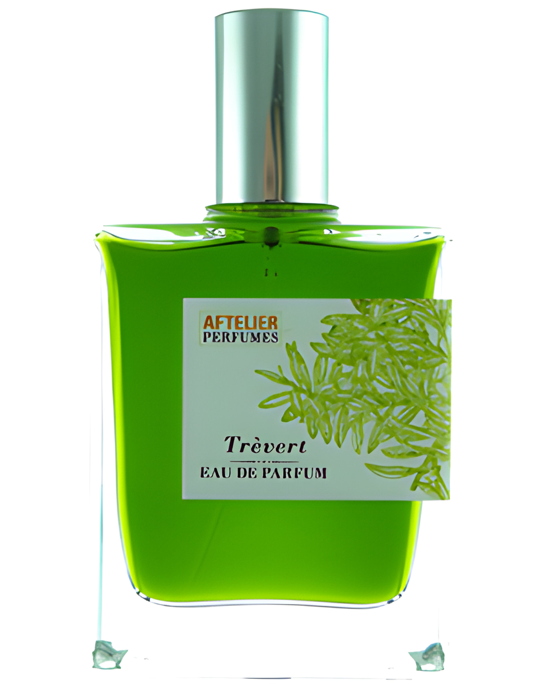 Picture of Trevert fragrance