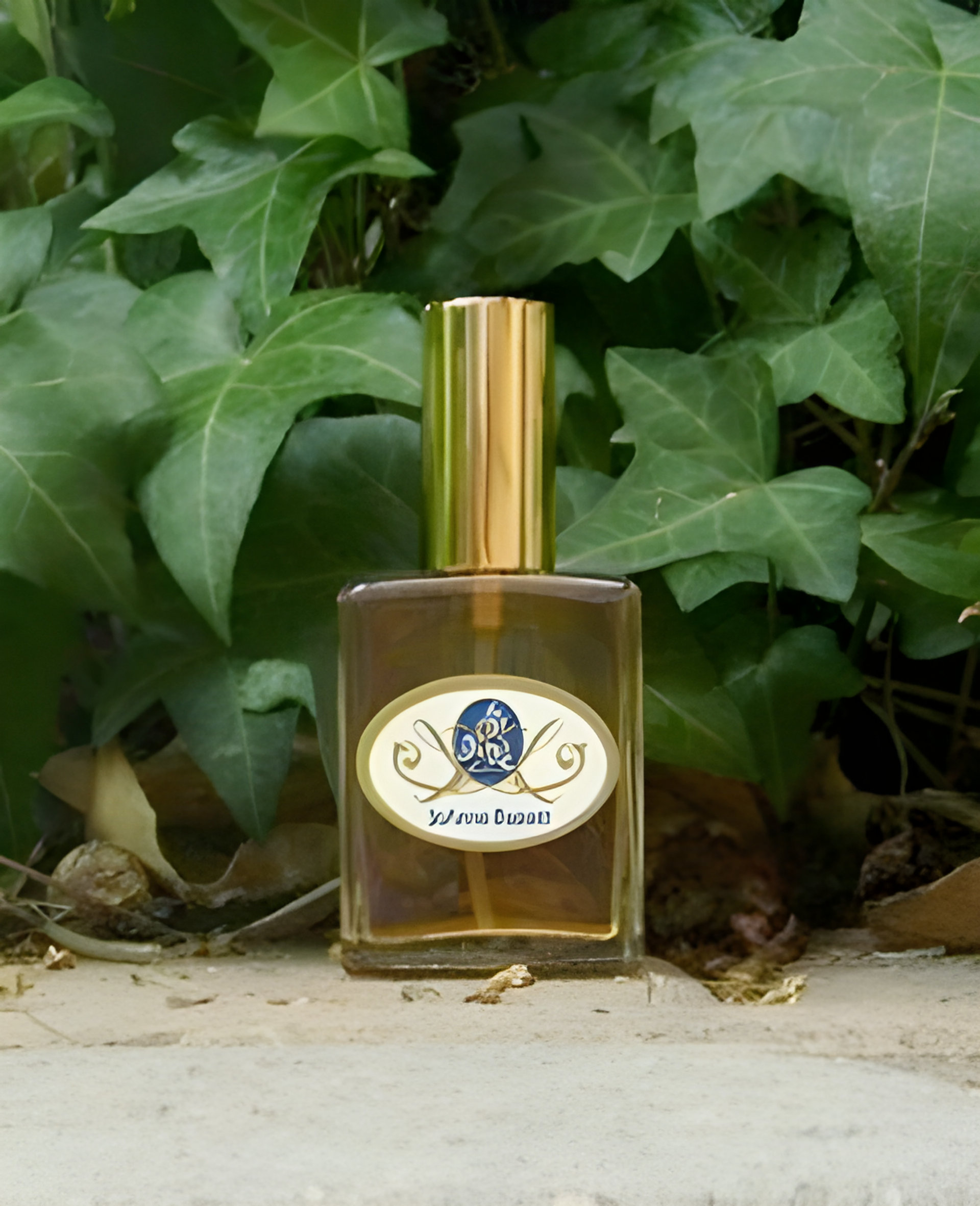 Picture of Venus Amber fragrance