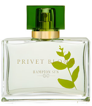 Privet Bloom by Hampton Sun perfume bottle