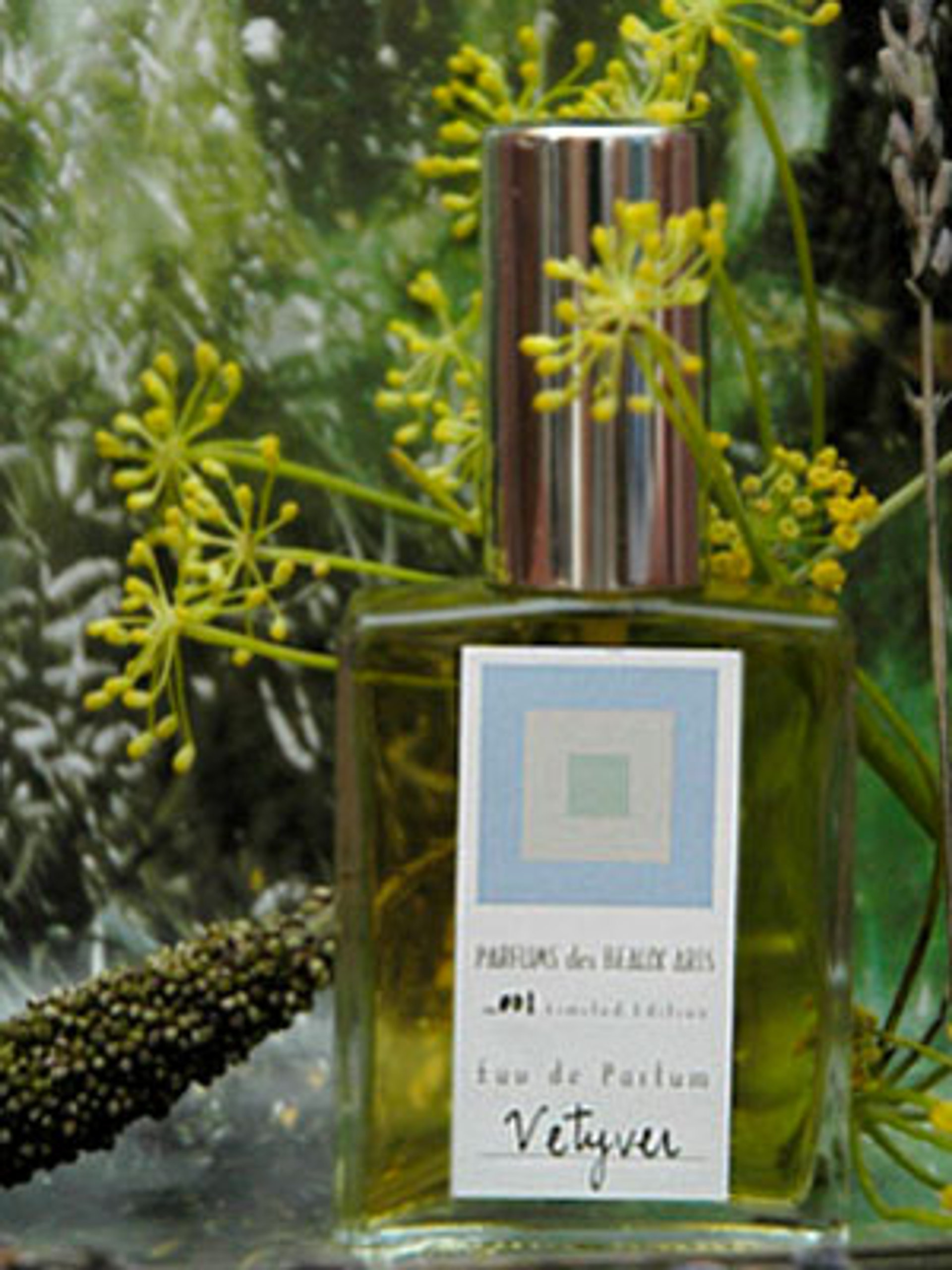 Picture of Vetyver fragrance
