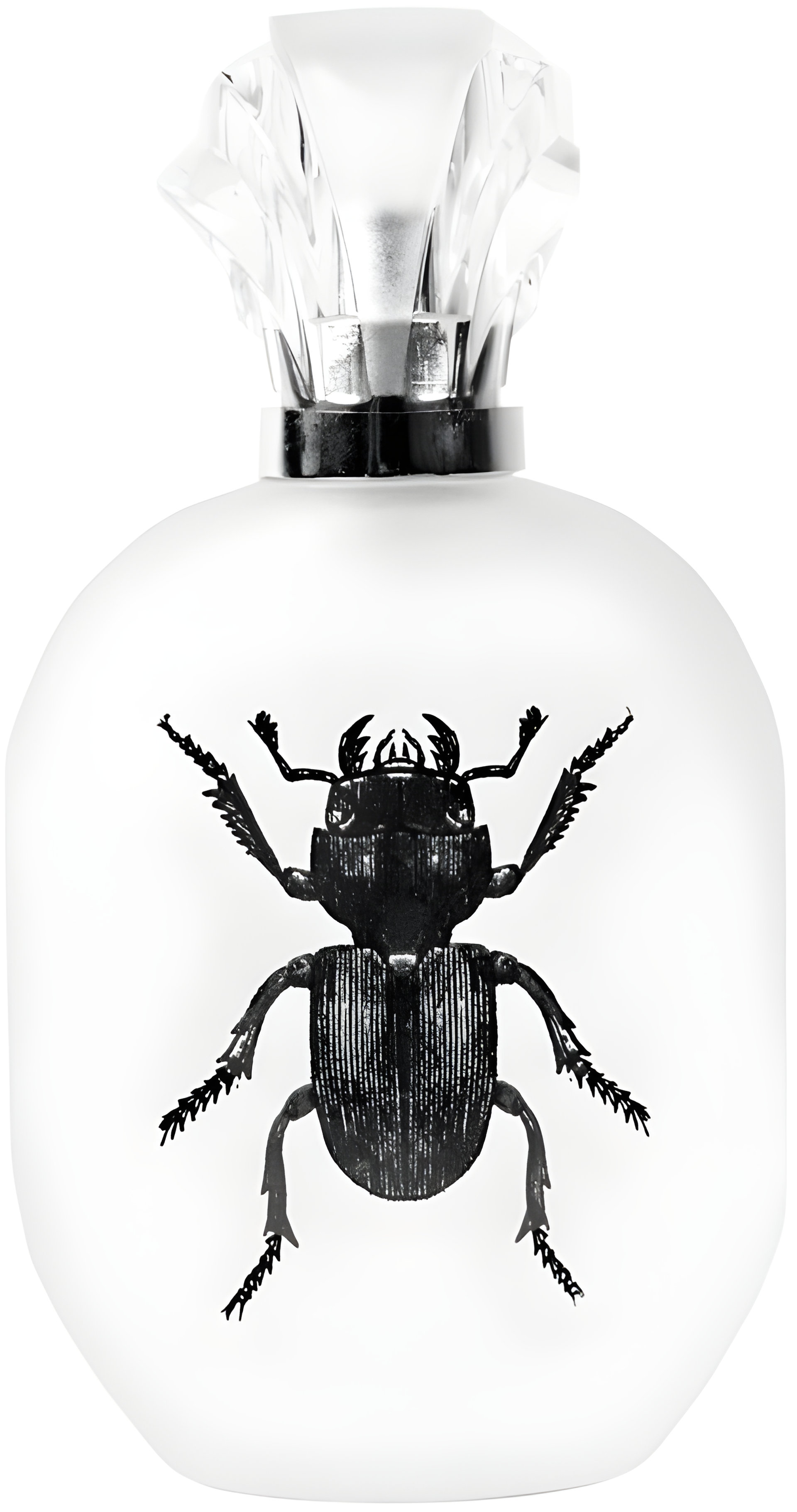 Picture of Alessandro Manfredini fragrance