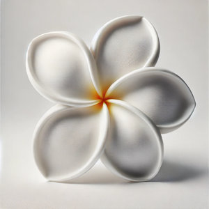 Tiare Flower - undefined