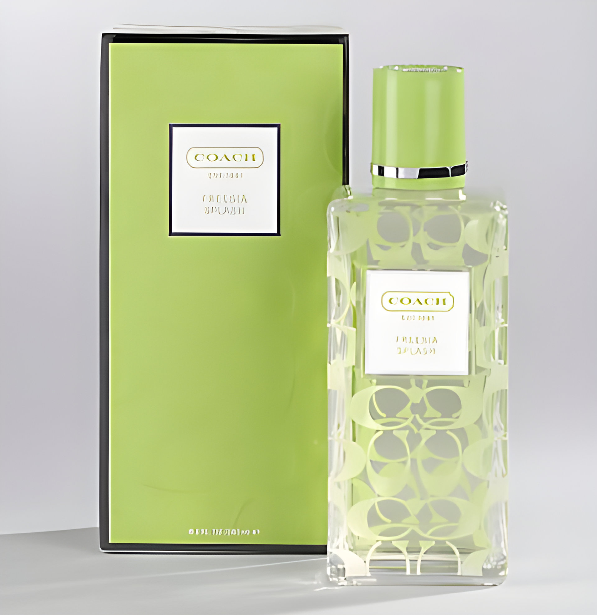 Freesia Splash by Coach