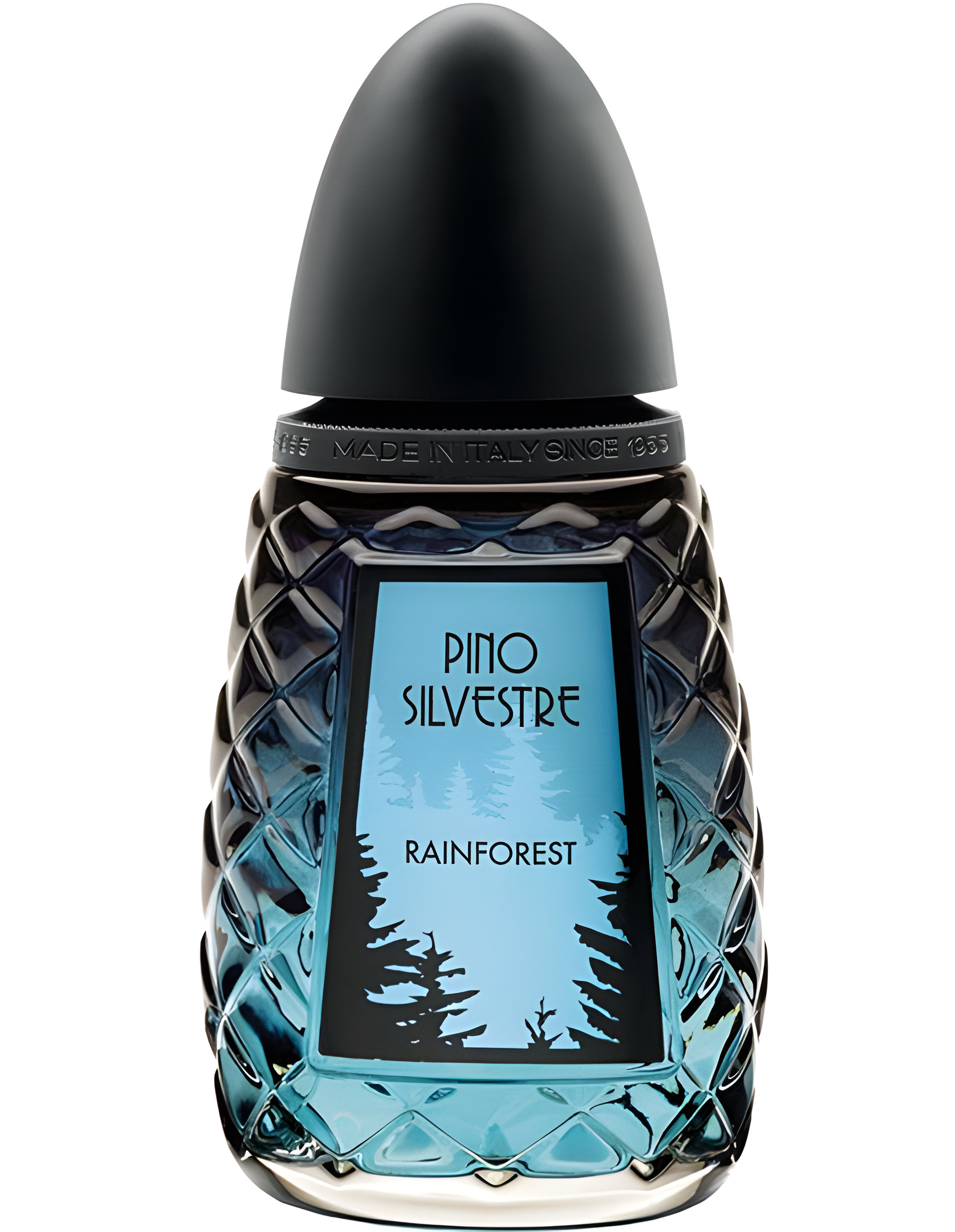 Picture of Rainforest fragrance