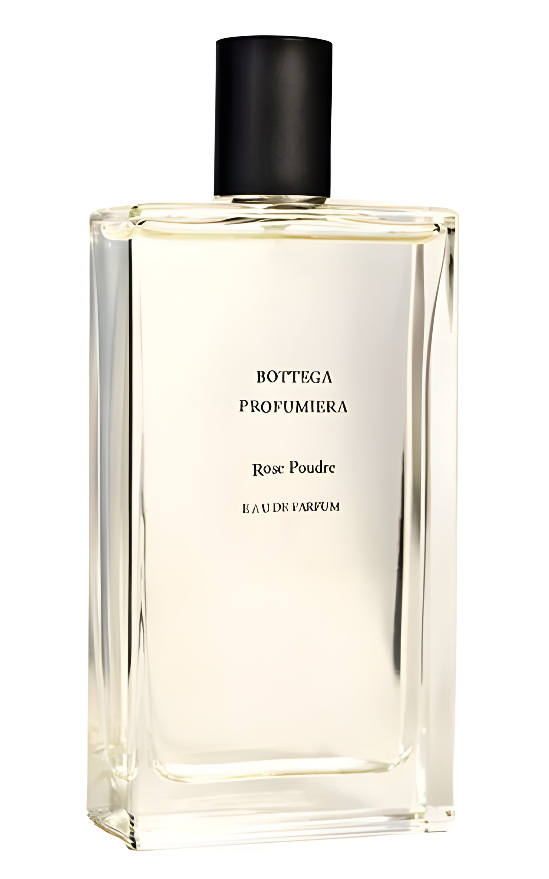 Picture of Rose Poudre fragrance