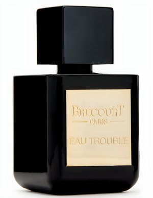 Eau Trouble by Brecourt perfume bottle