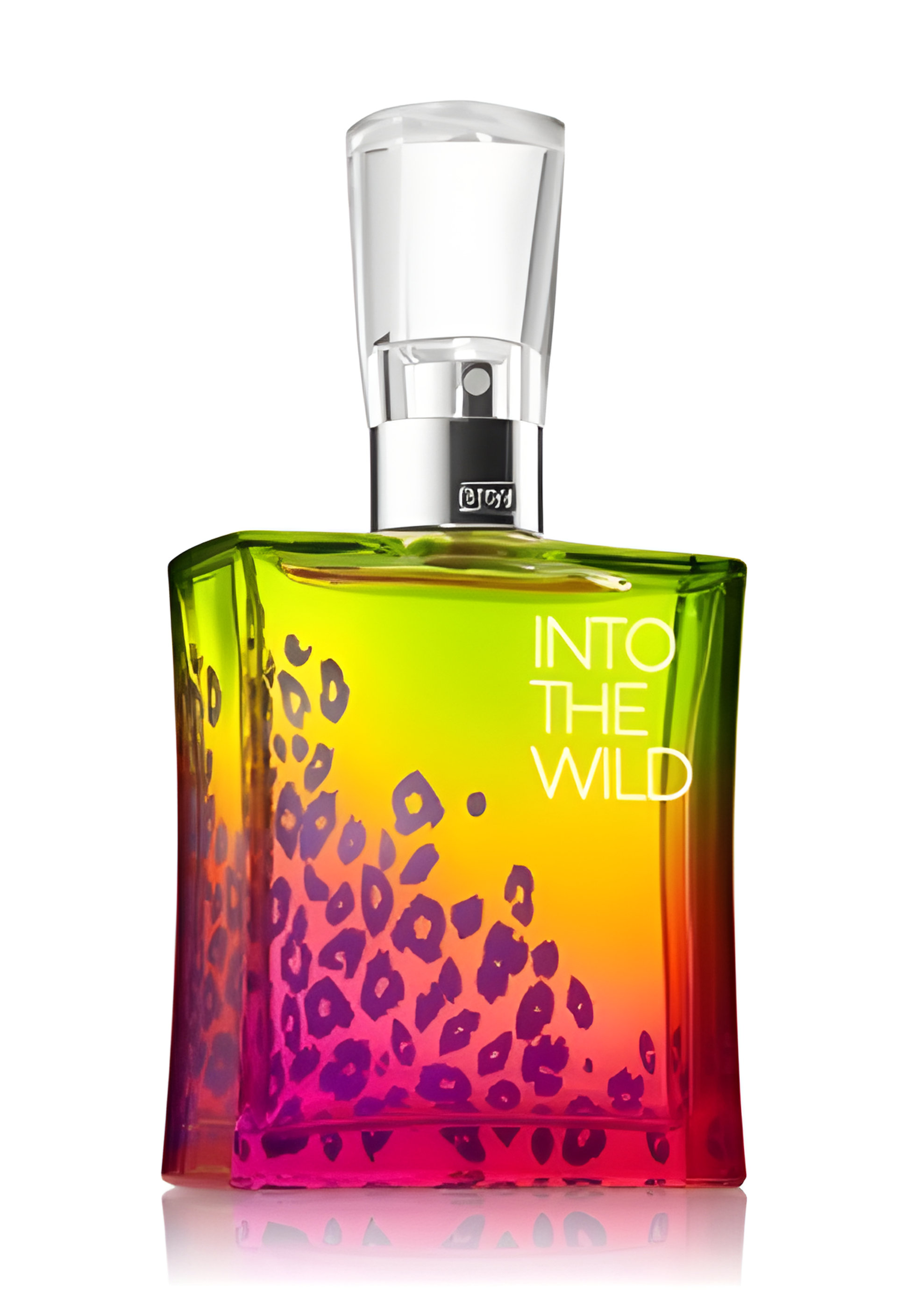 Picture of Into the Wild fragrance