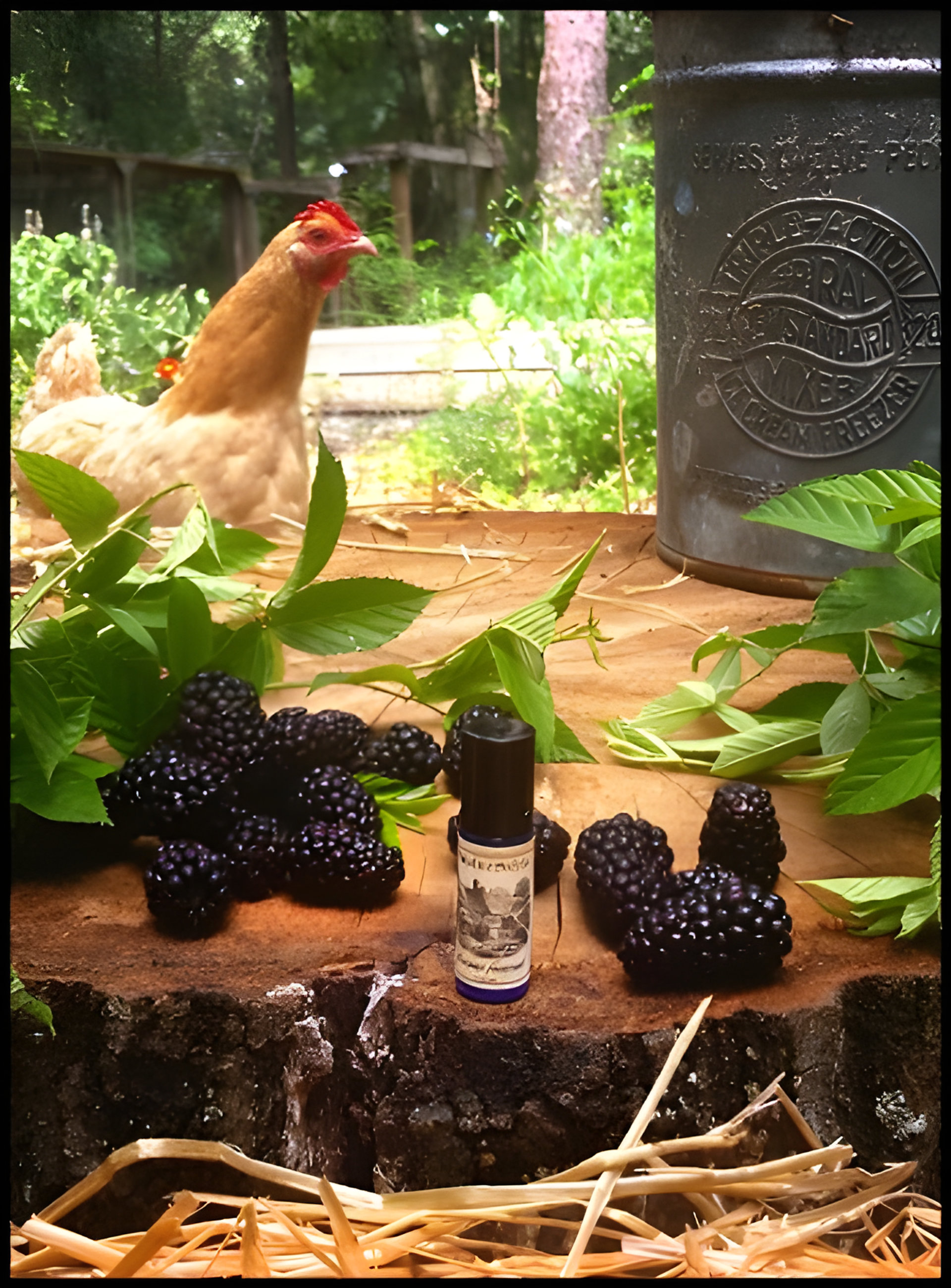 Picture of Blackburn Farmstead fragrance