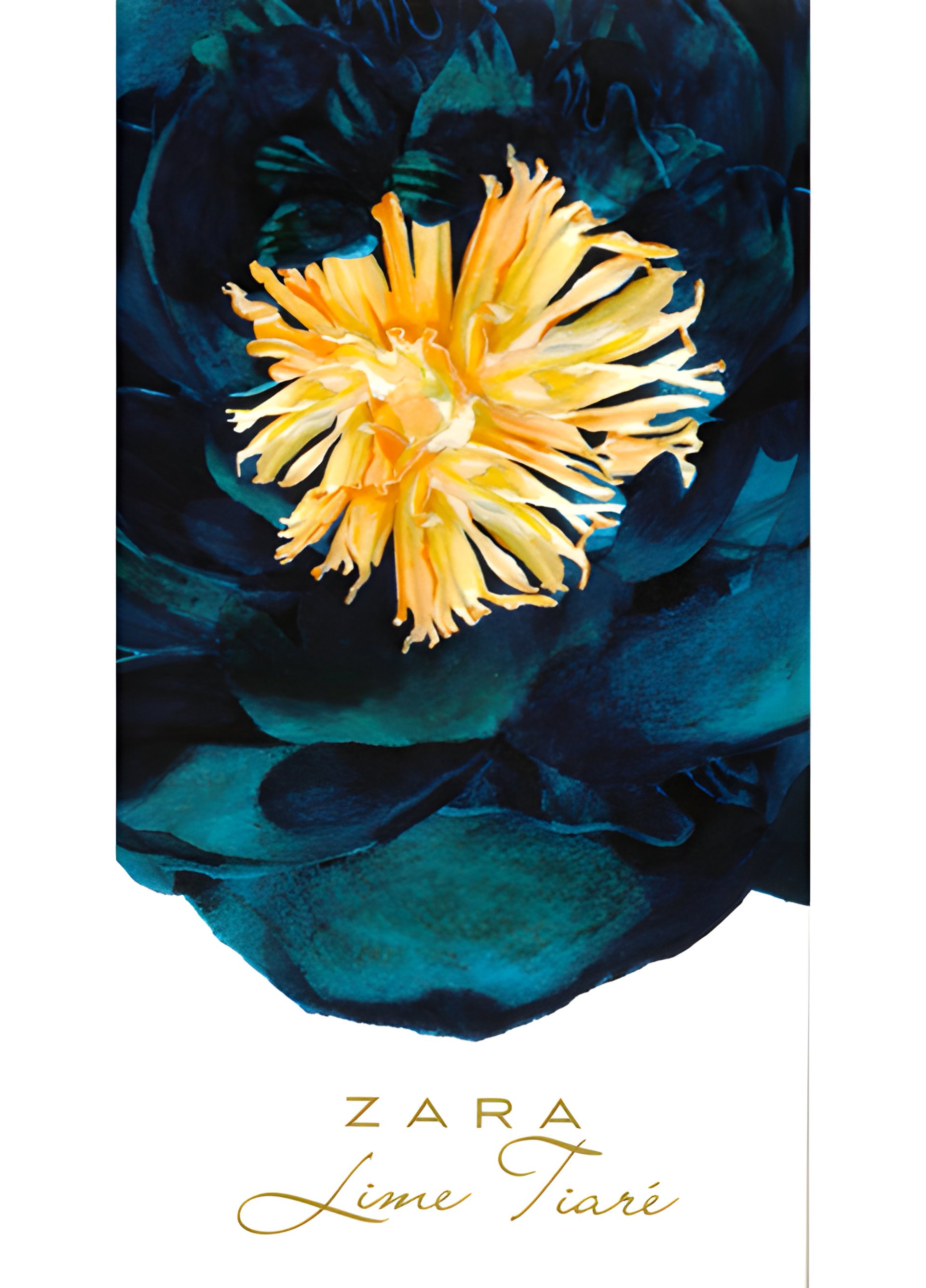 Picture of Lime Tiare fragrance