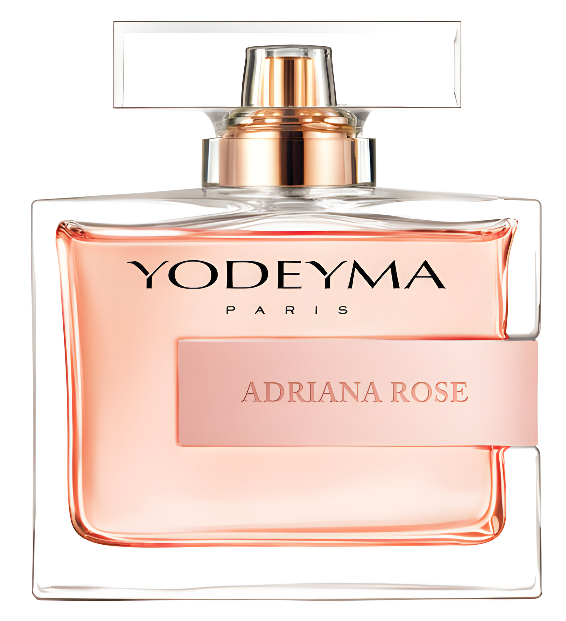 Picture of Adriana Rose fragrance