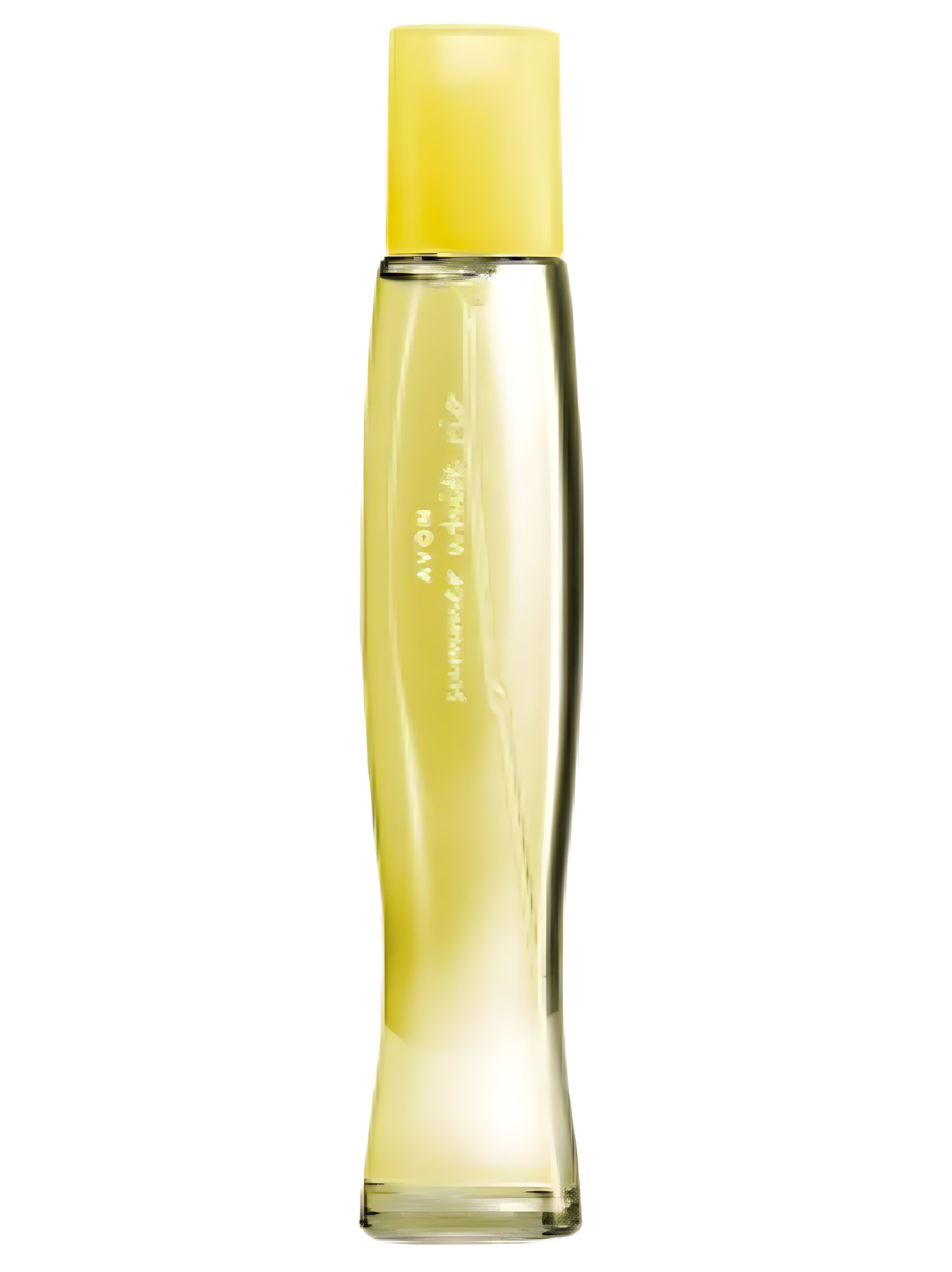 Picture of Summer White Rio fragrance