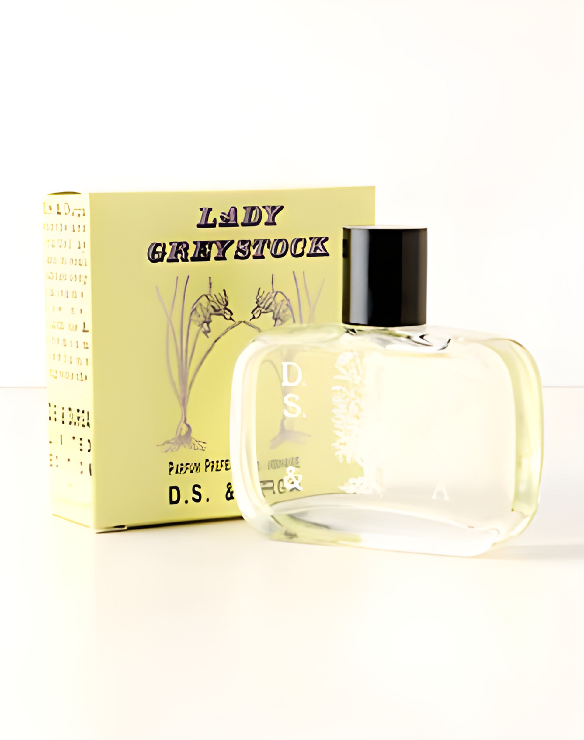 Picture of Lady Greystock fragrance