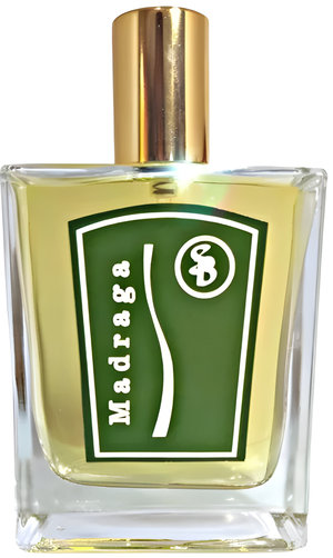 Madraga by Atelier Segall & Barutti perfume bottle