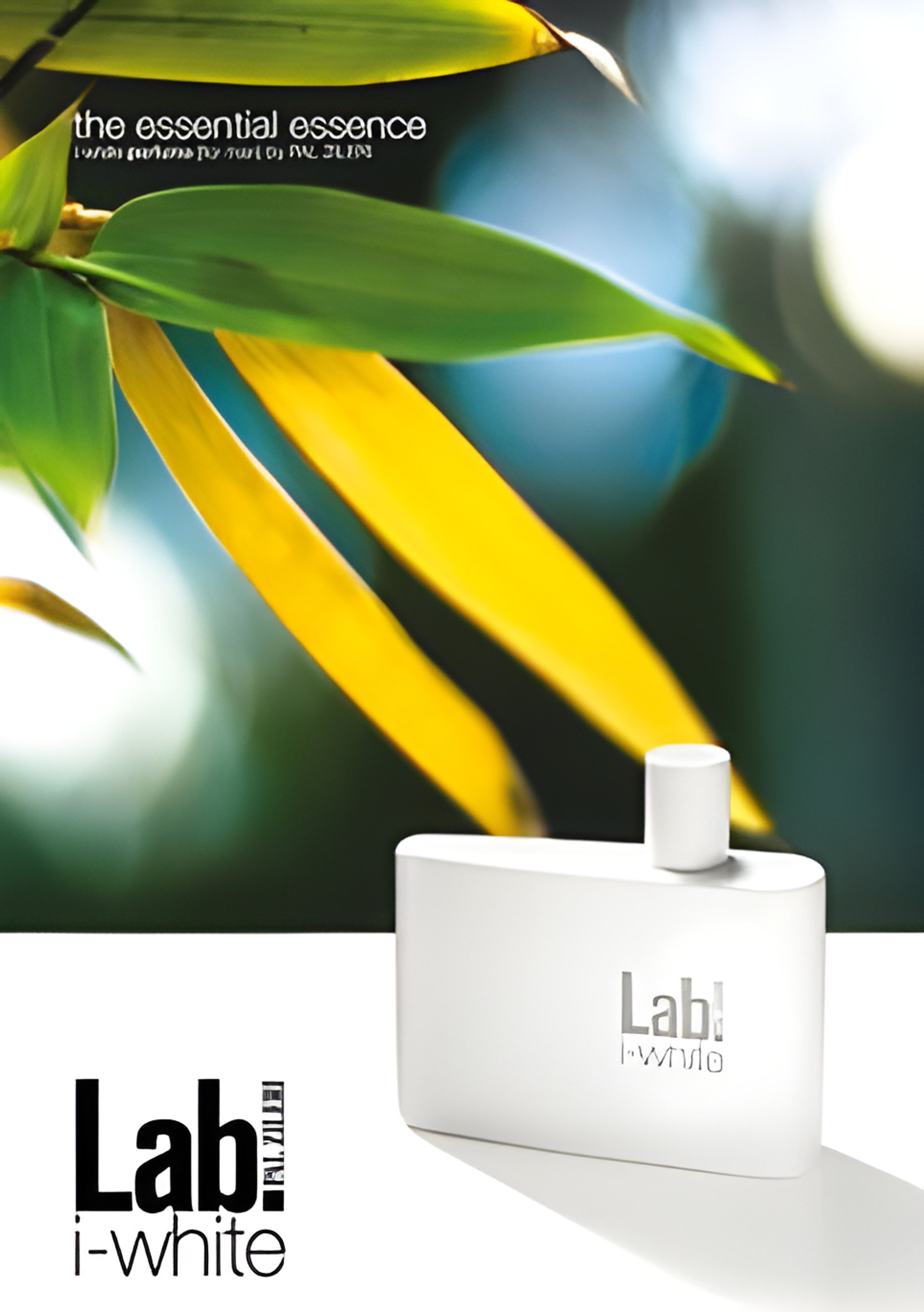 Picture of Lab I-White fragrance