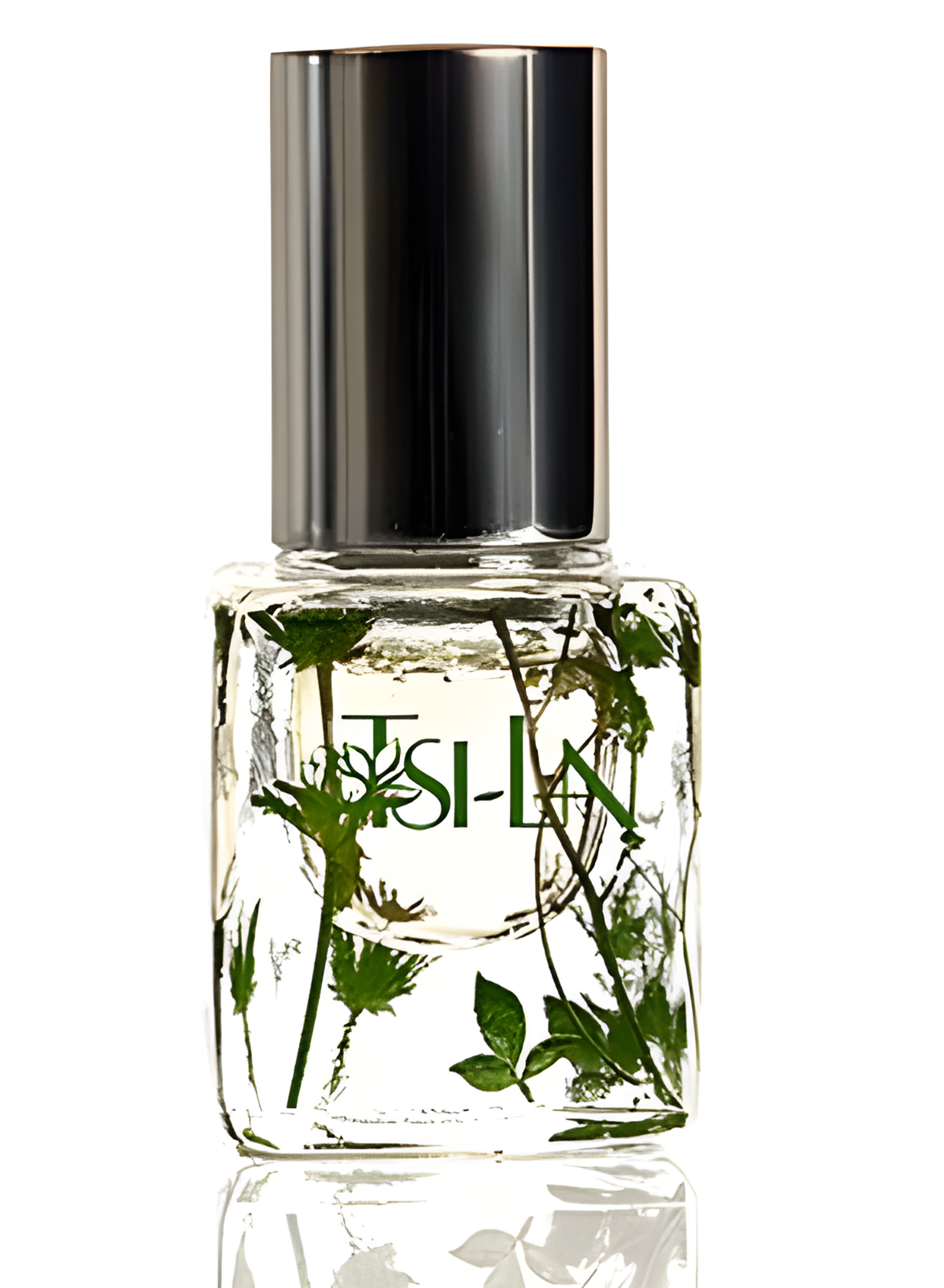 Picture of Saqui fragrance