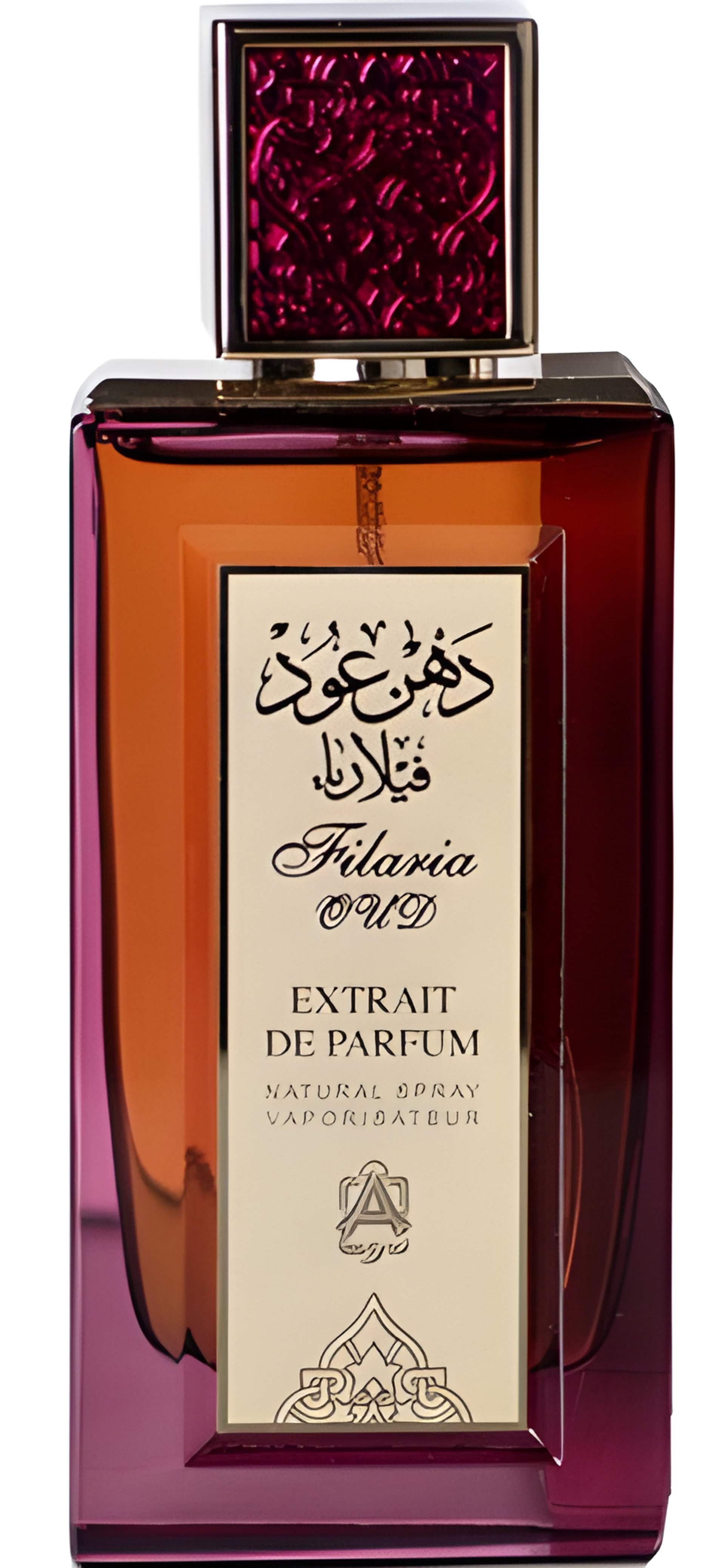 Picture of Filaria Oud fragrance