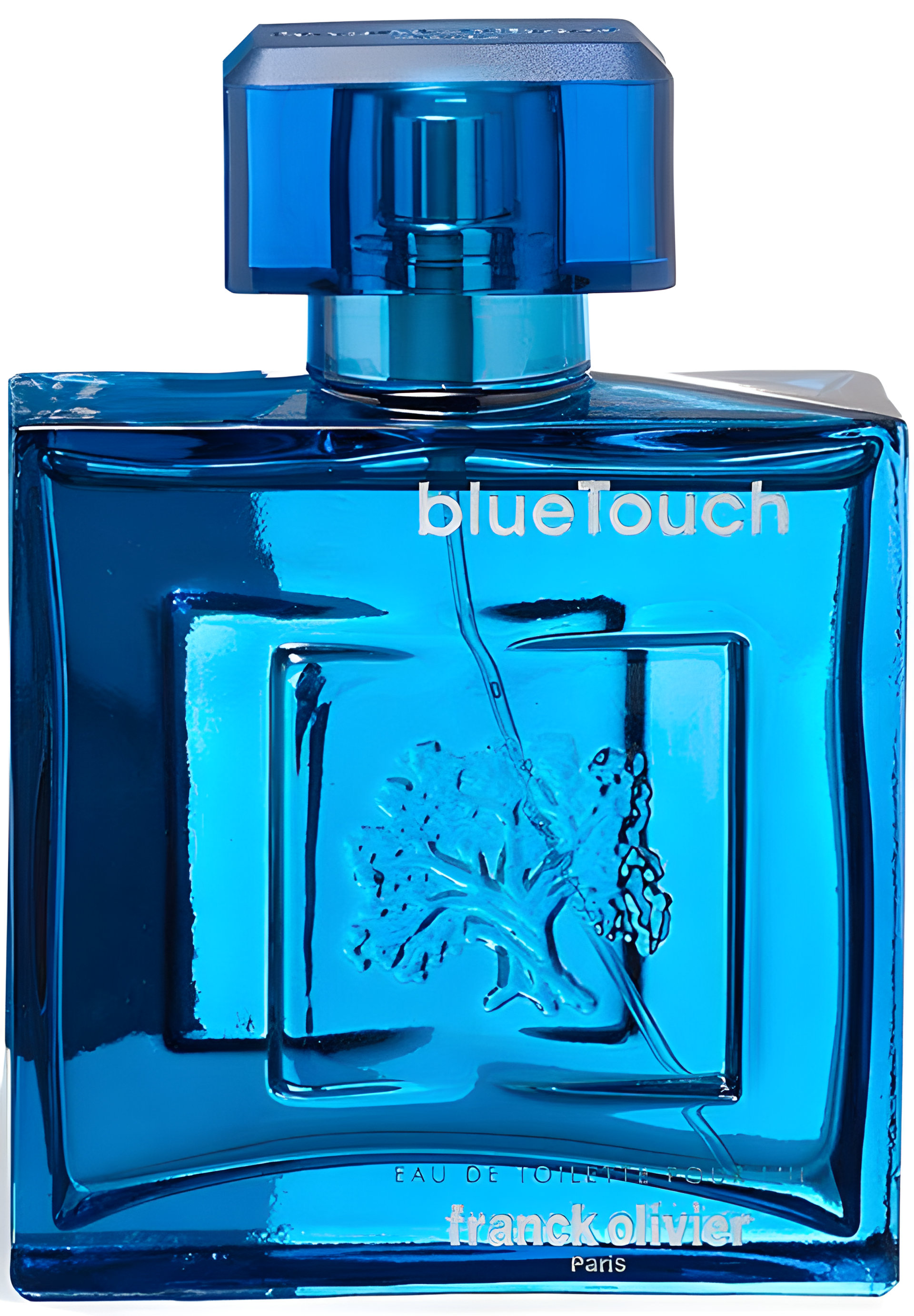 Picture of Blue Touch fragrance