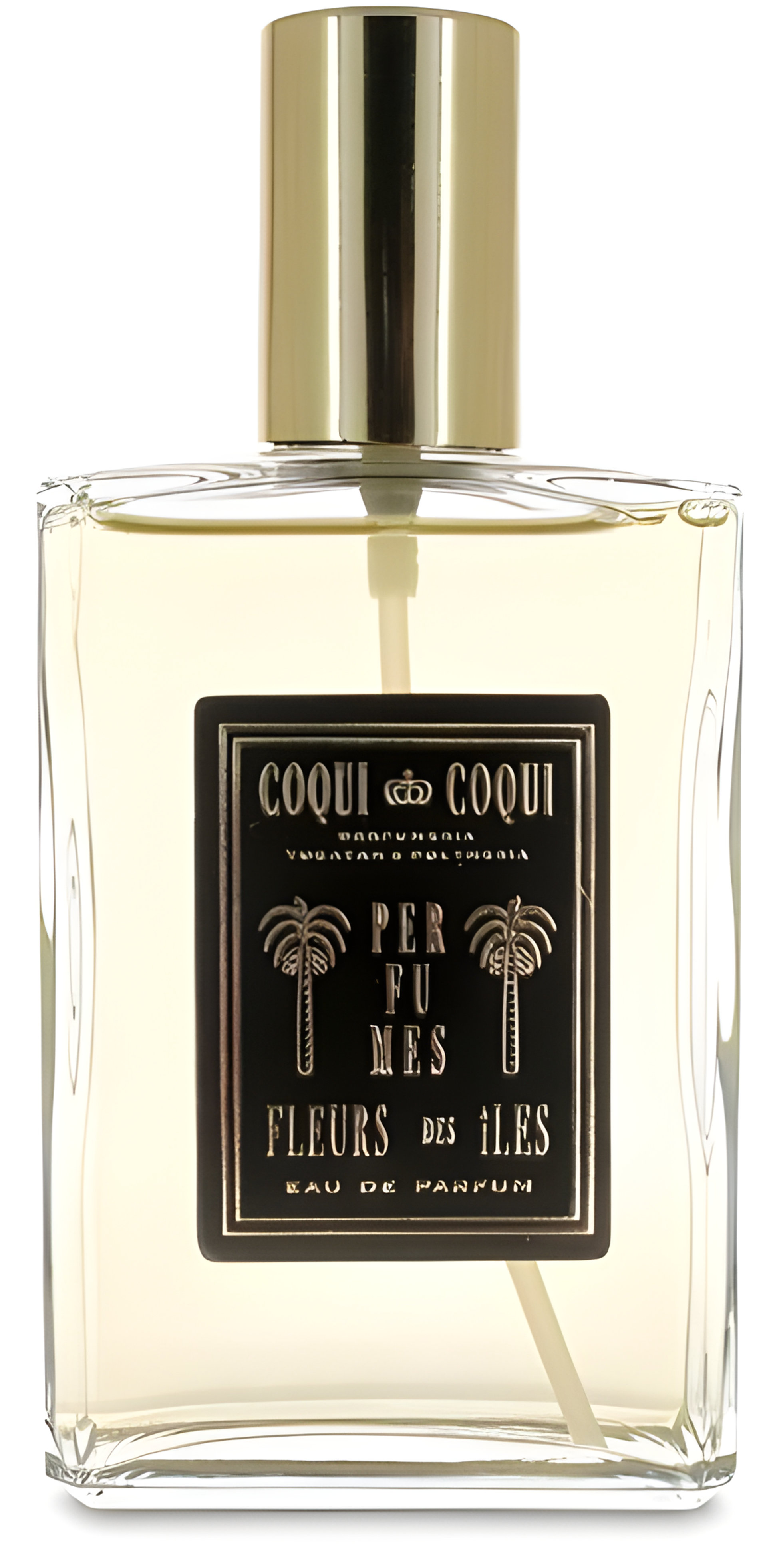 Picture of Fleurs Des Iles fragrance