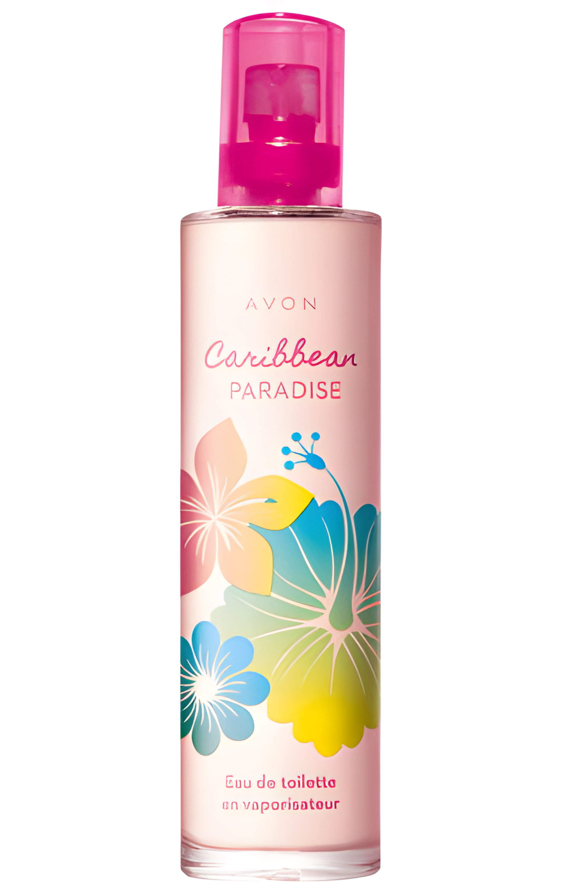 Picture of Caribbean Paradise fragrance