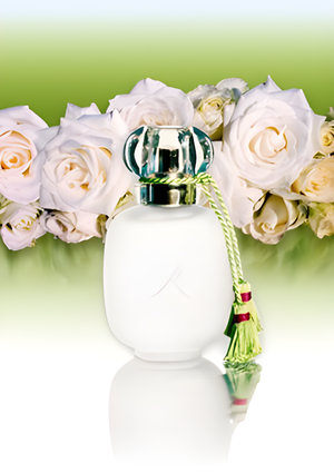 Un Zeste de Rose by Les Parfums de Rosine perfume bottle