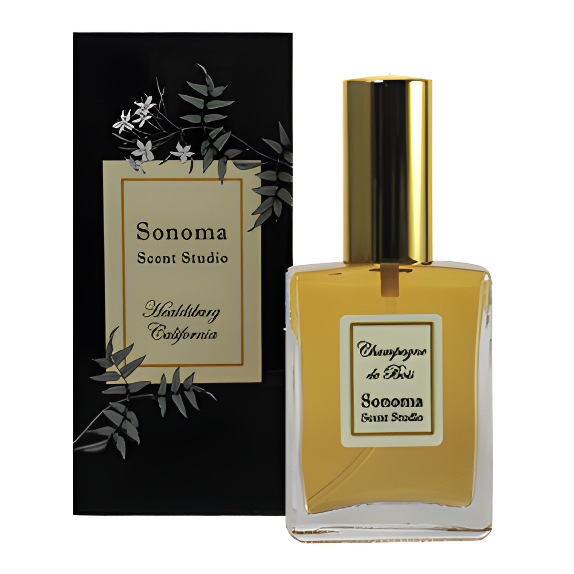 Picture of Champagne de Bois fragrance