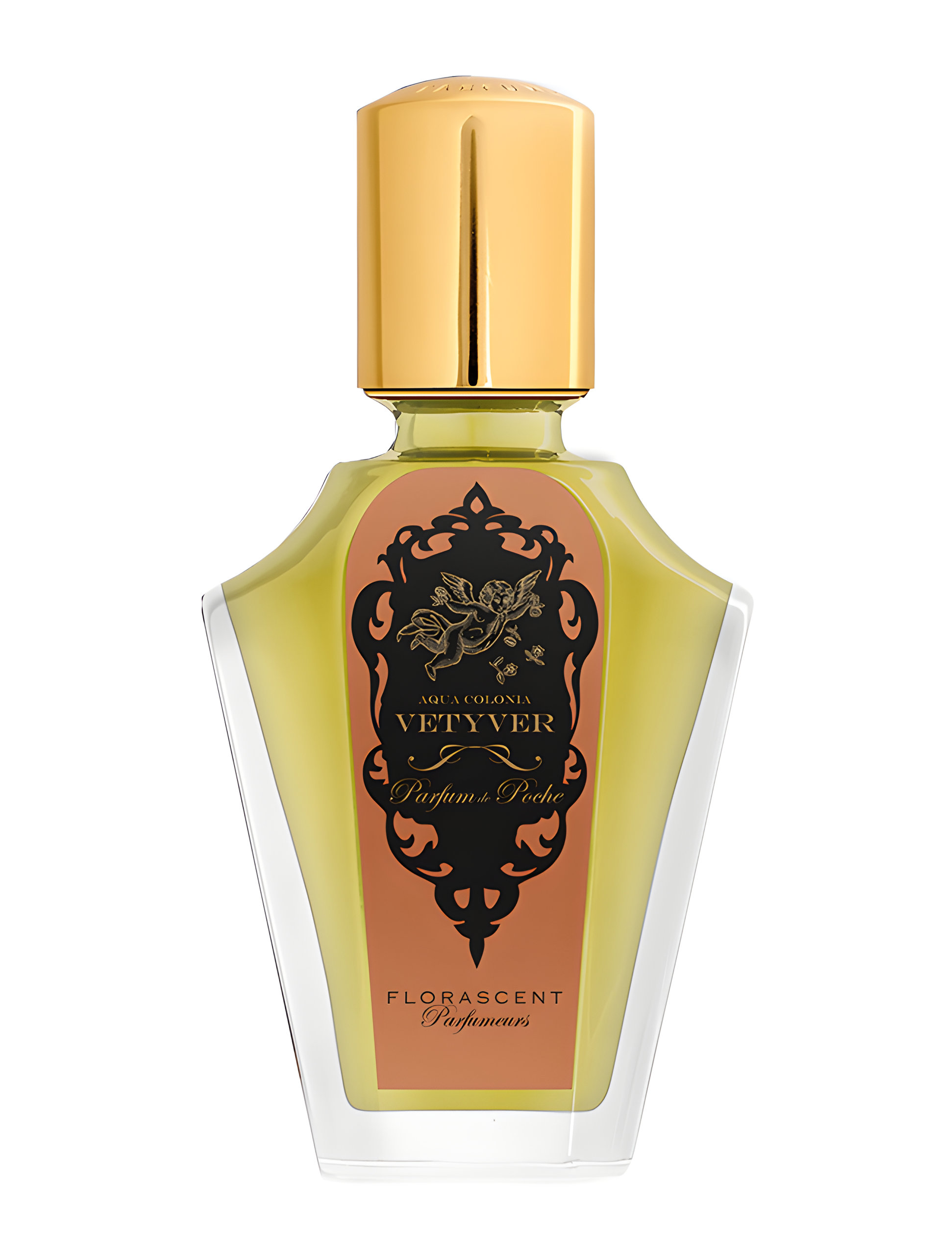 Picture of Vetyver fragrance