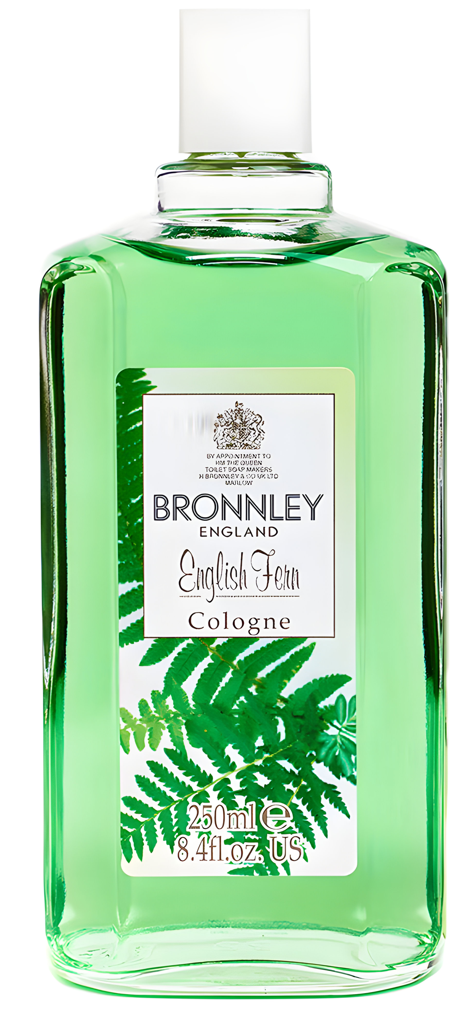 Picture of English Fern fragrance