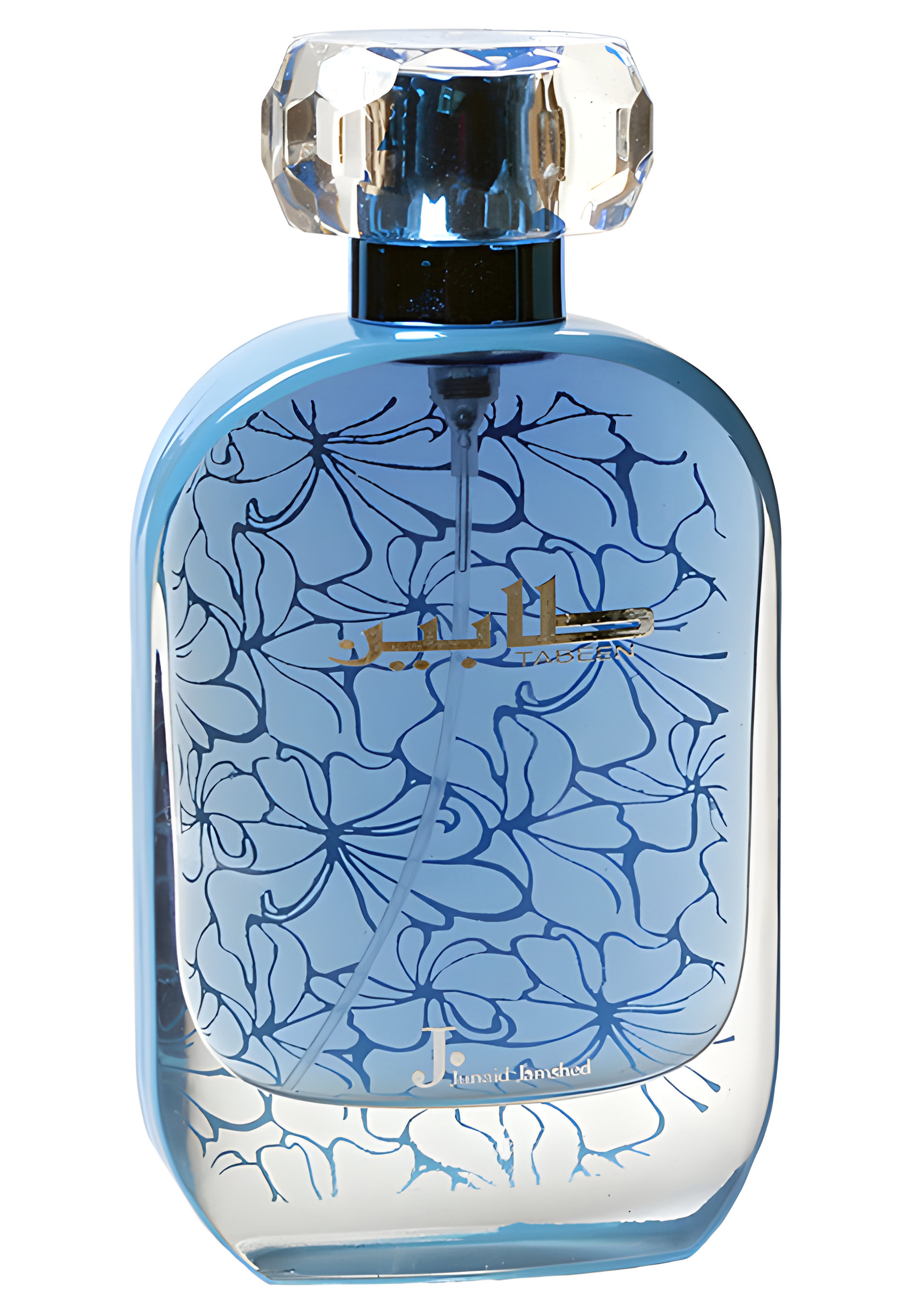 Picture of Tabeen fragrance