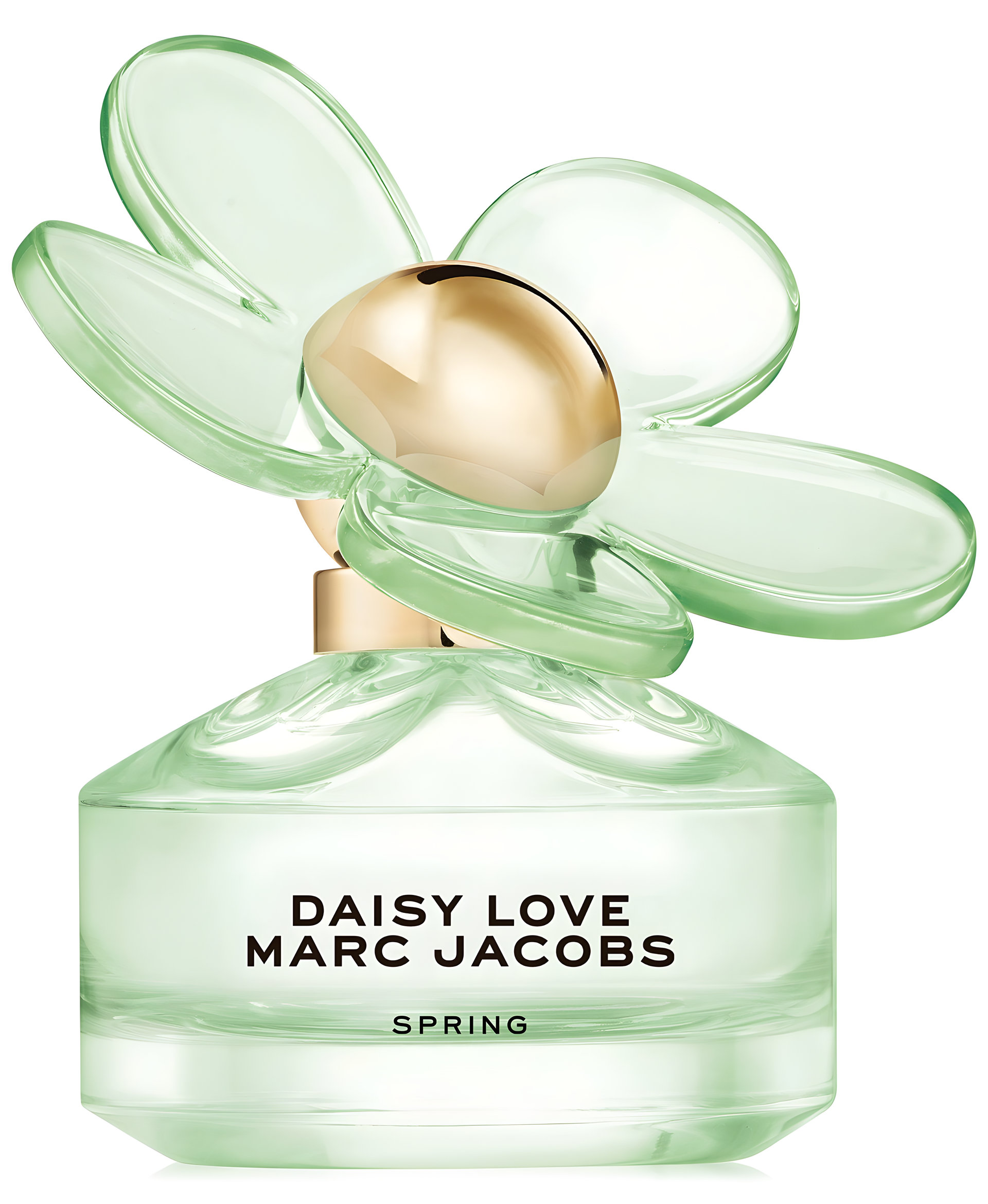 Picture of Daisy Love Spring fragrance