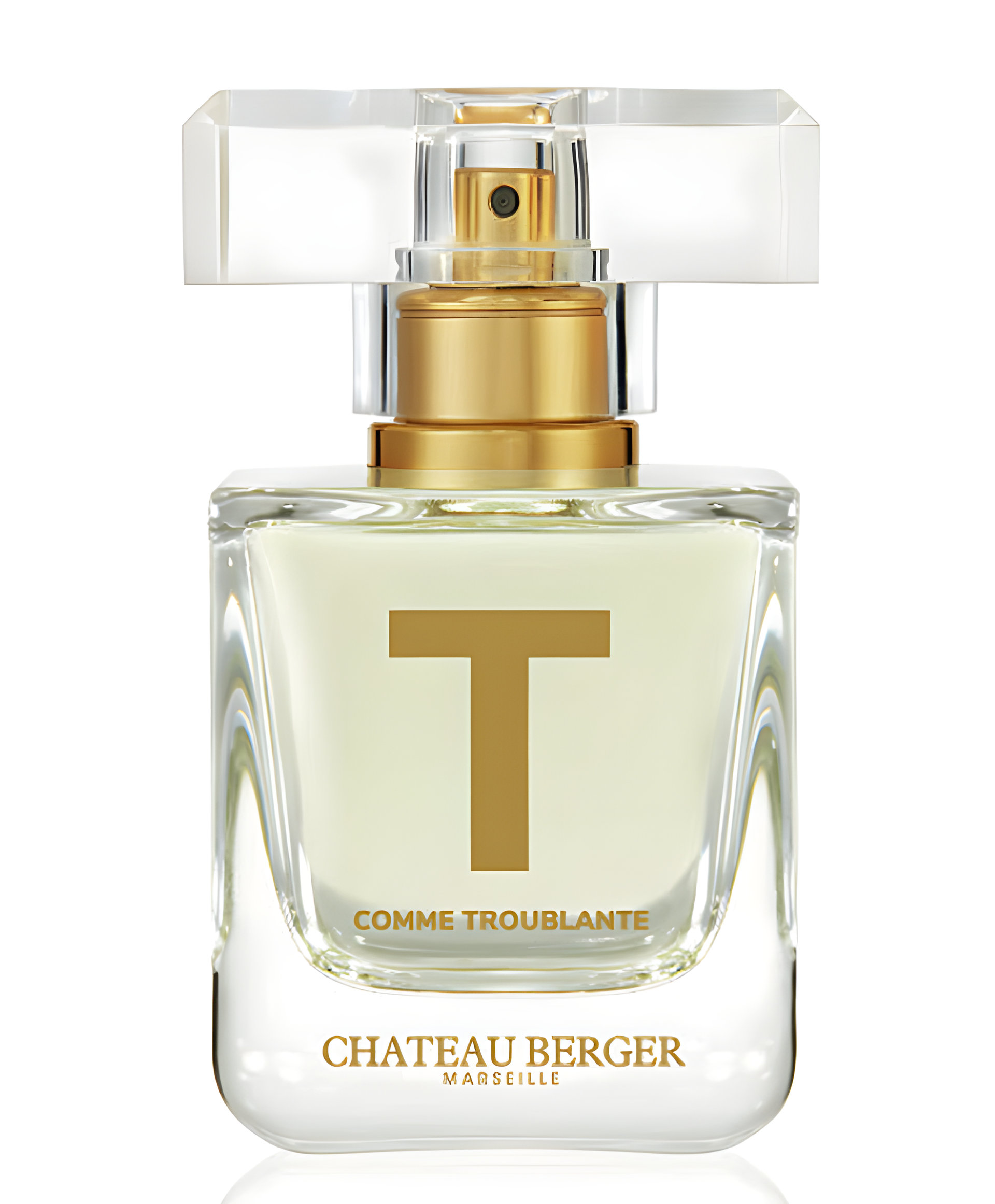 Picture of T As Troubling fragrance