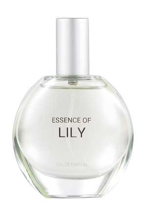 Essence of Lily by C&A perfume bottle