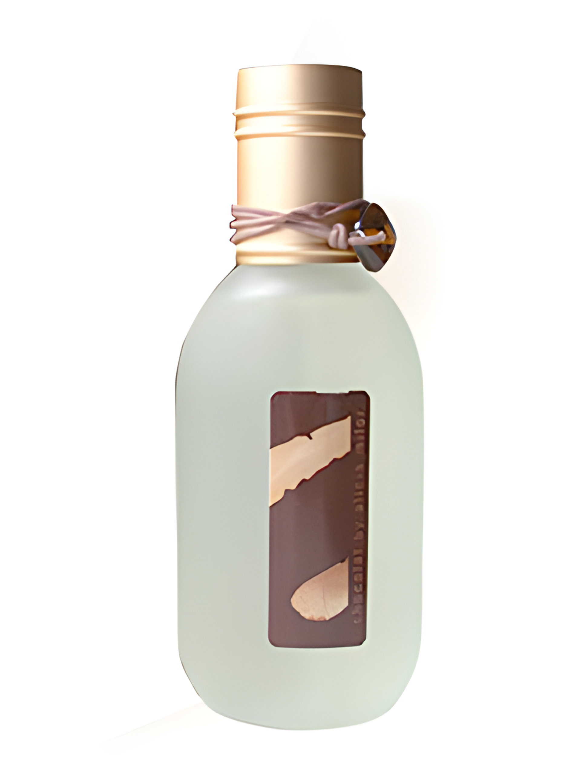 Picture of Chocolat fragrance